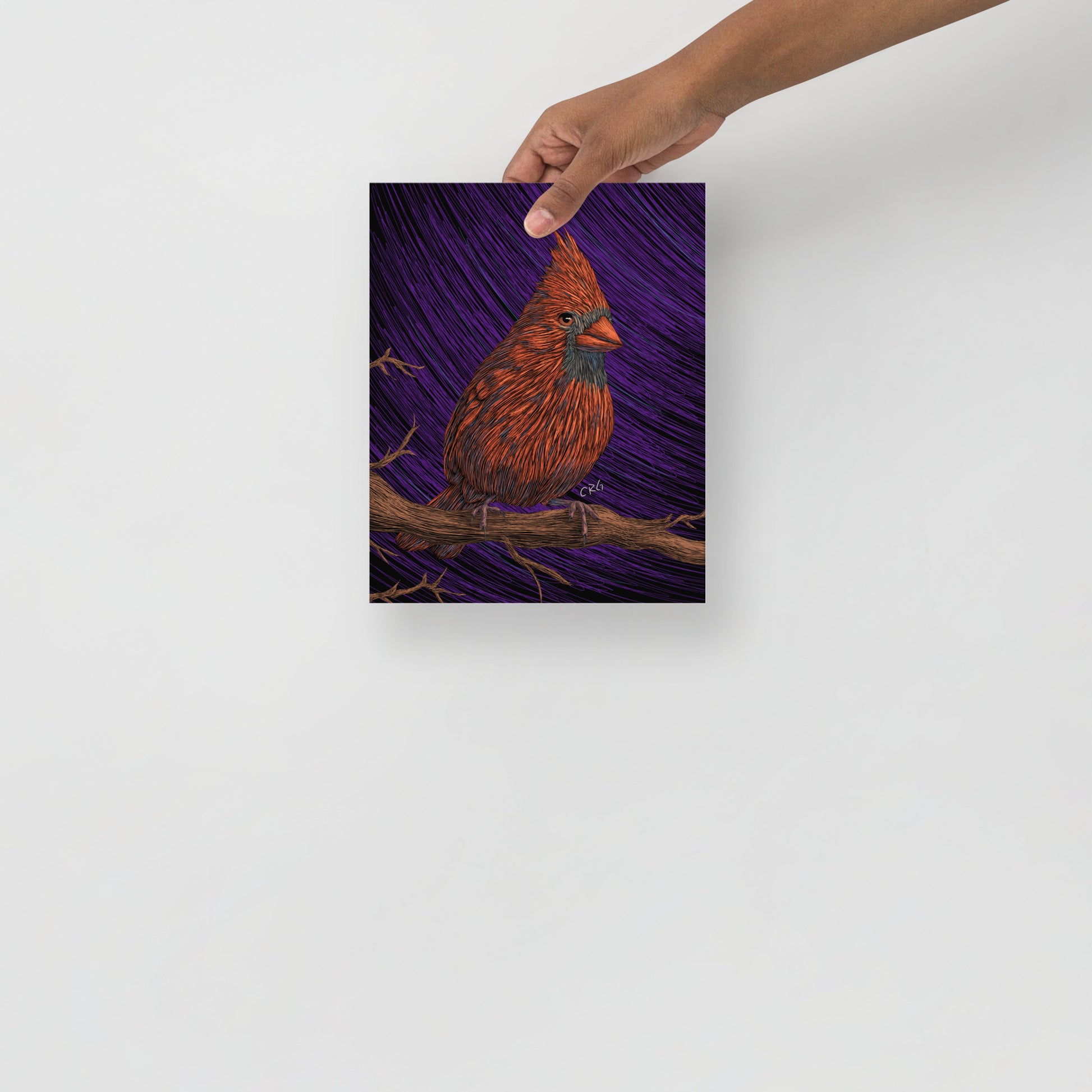 Cardinal Art Print