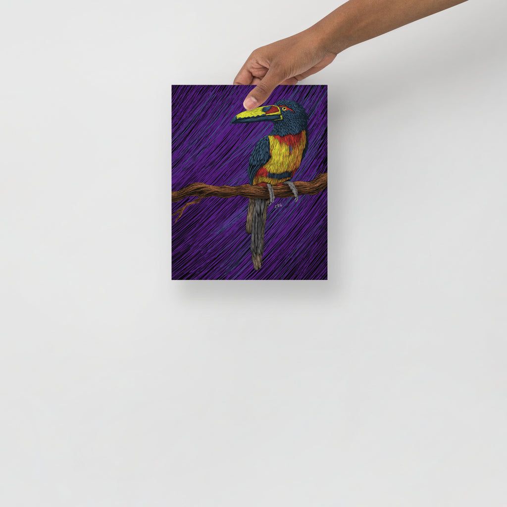 Toucan Art Print