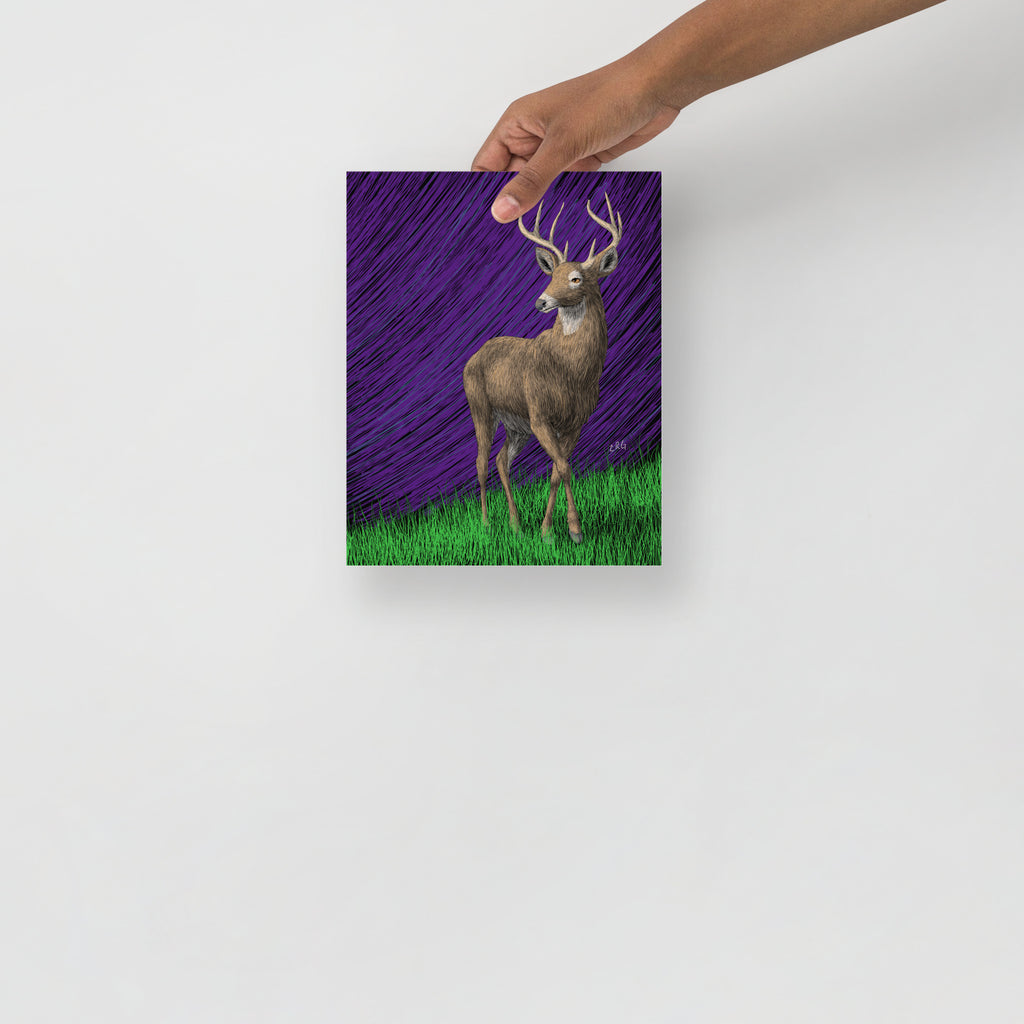 Deer Art Print