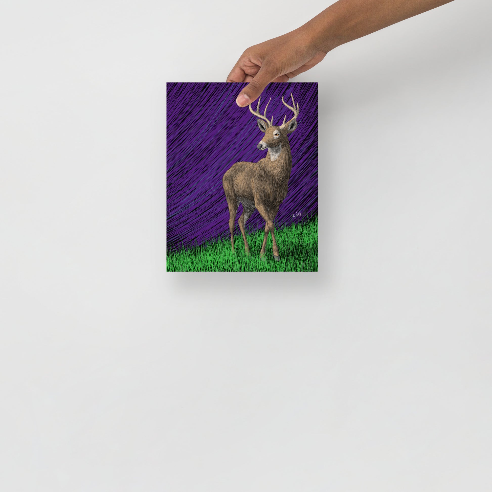 Deer Art Print
