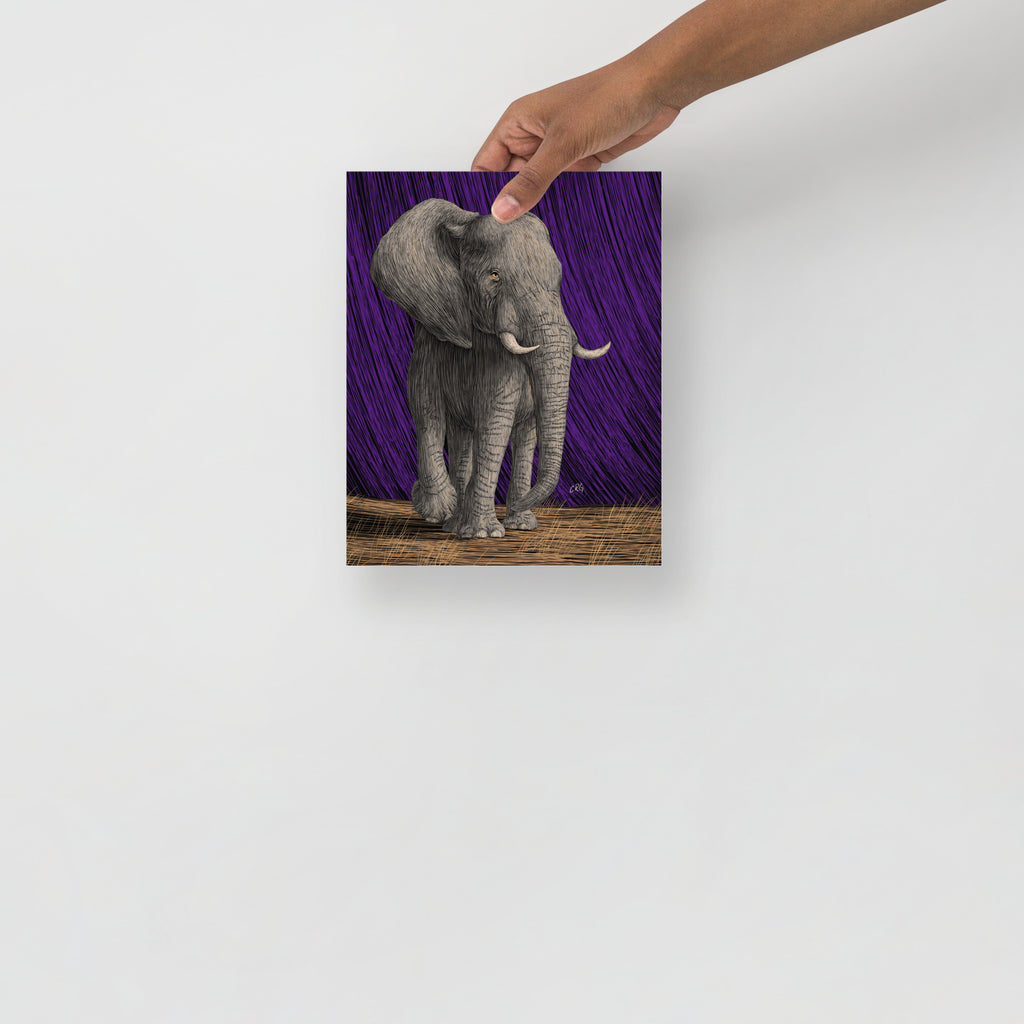 Elephant Art Print