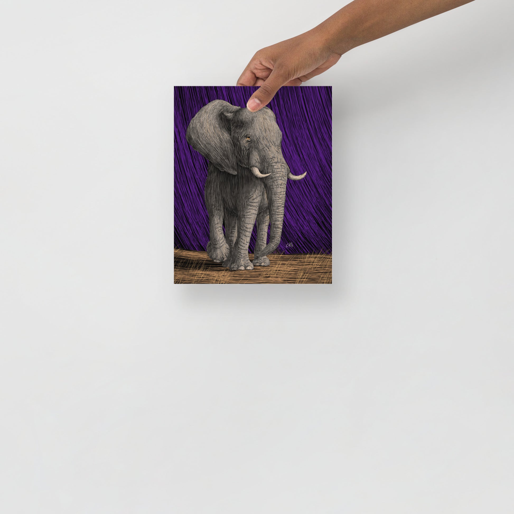 Elephant Art Print
