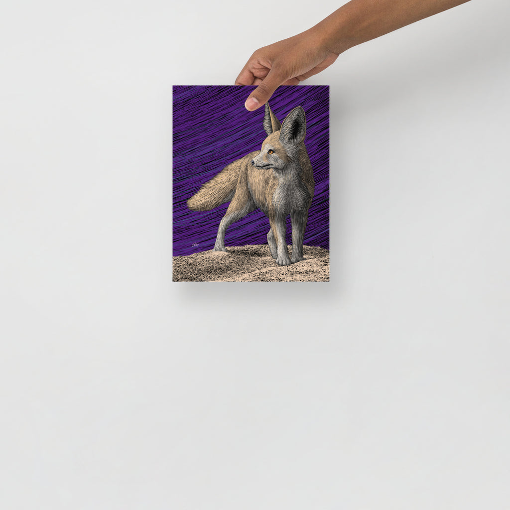 Fennec Fox Art Print