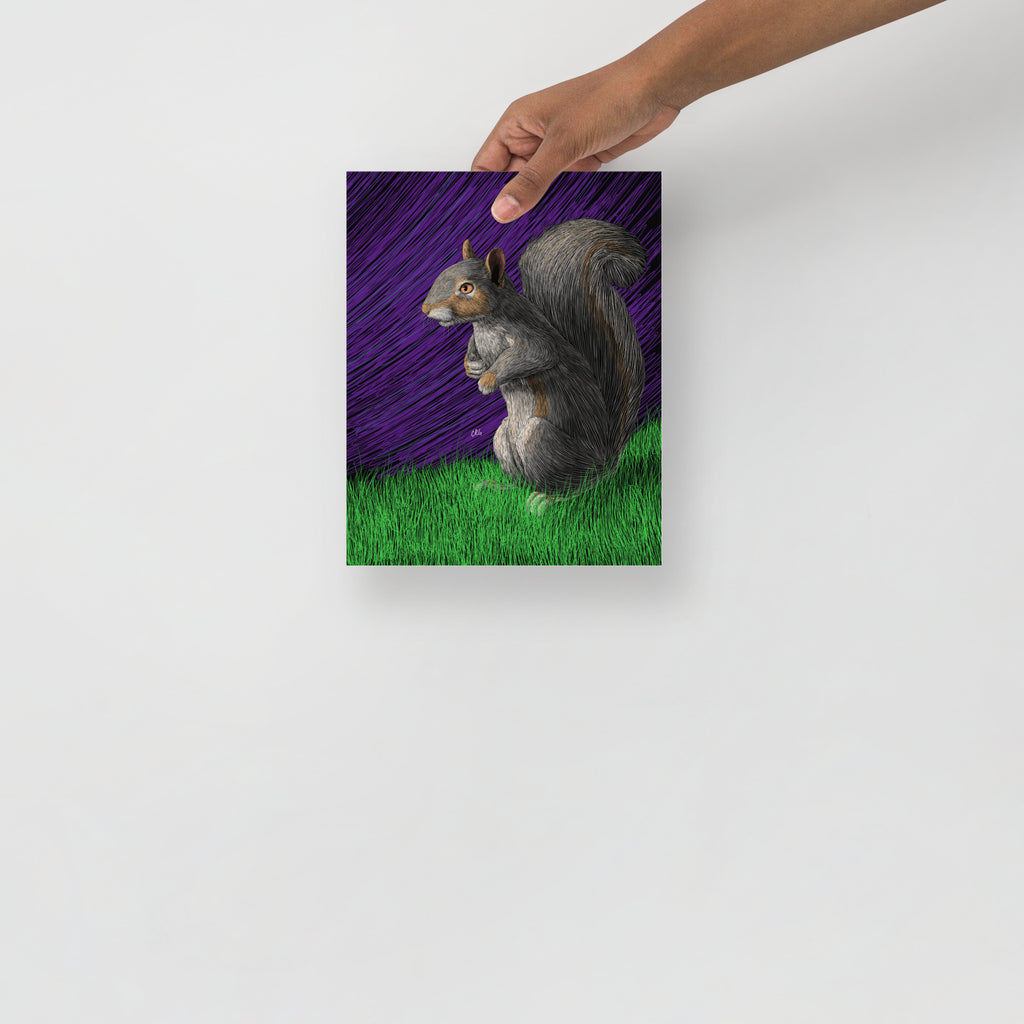 Squirrel Art Print