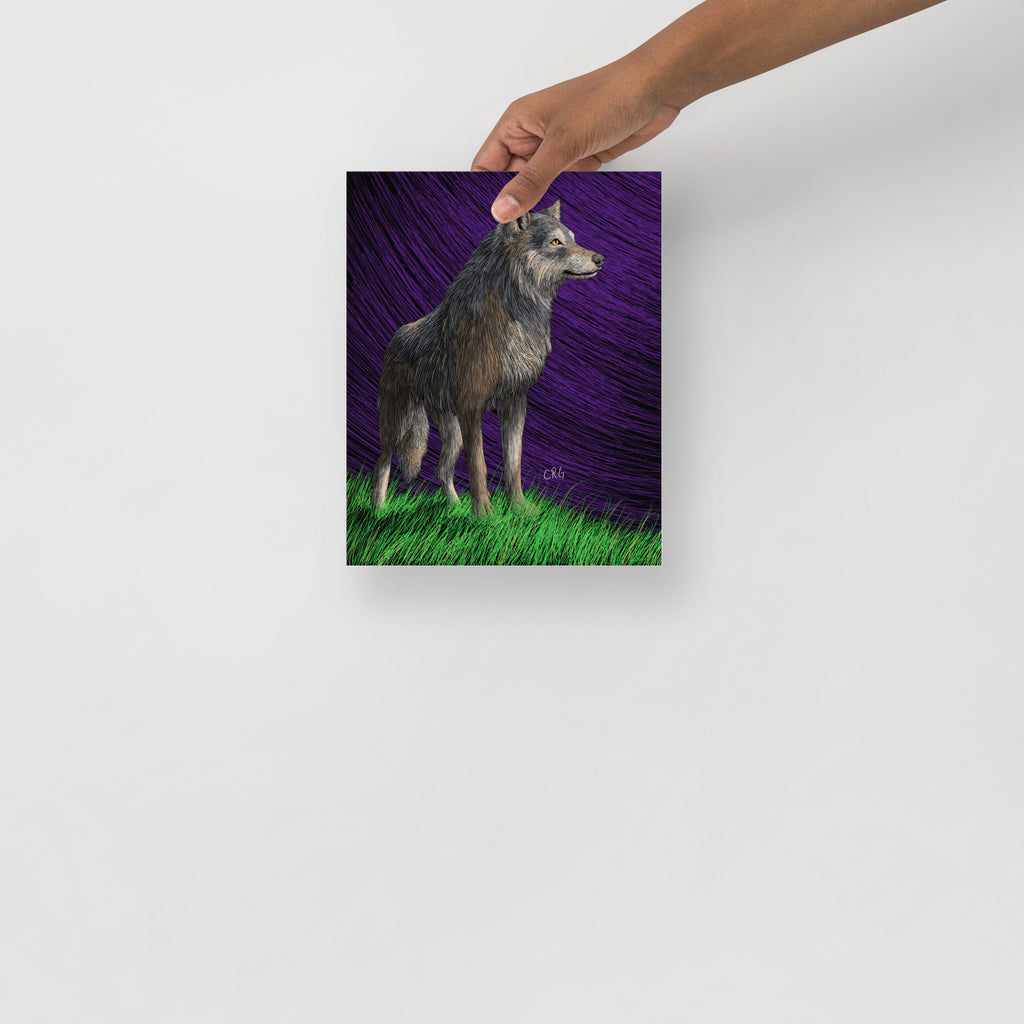 Gray Wolf Art Print