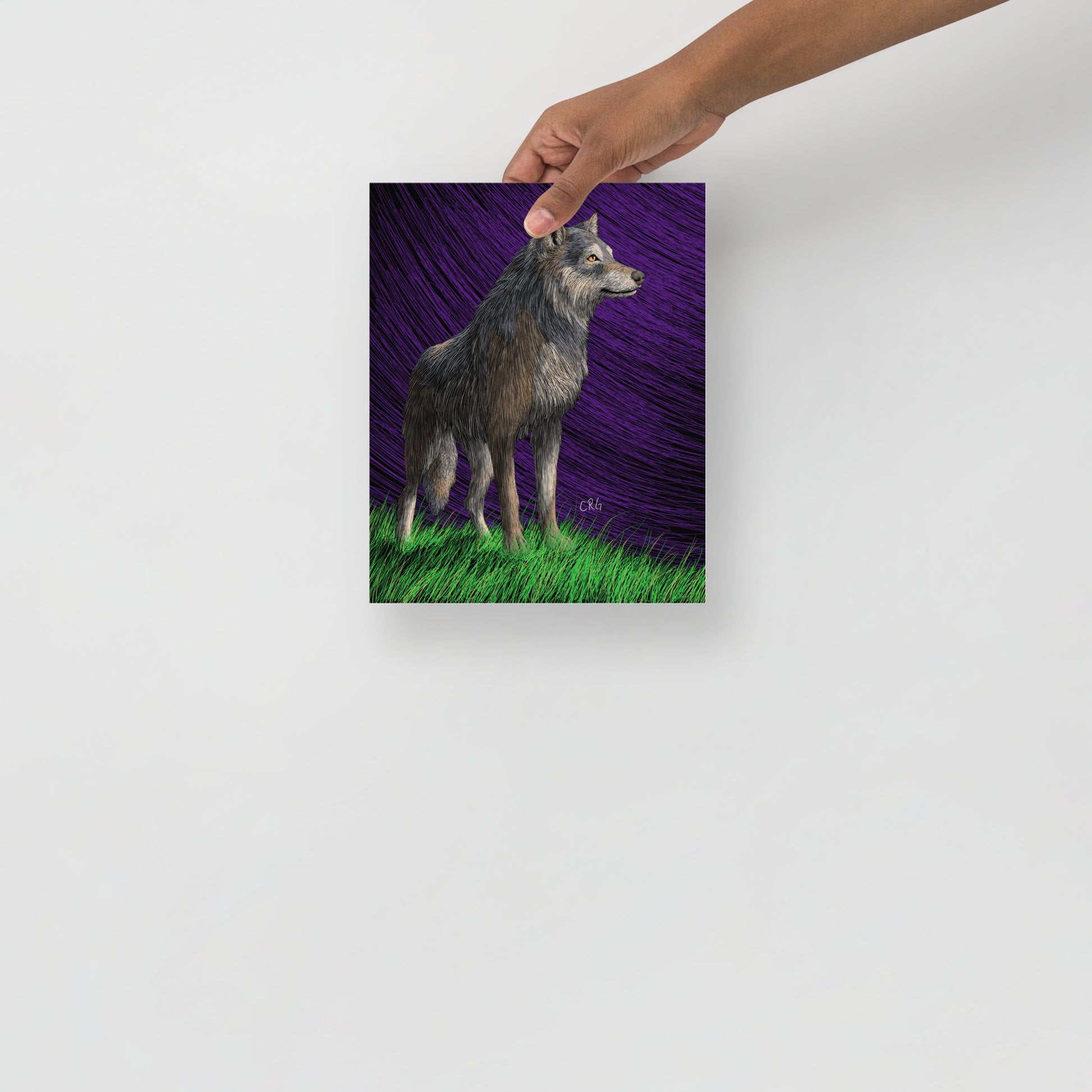 Gray Wolf Art Print