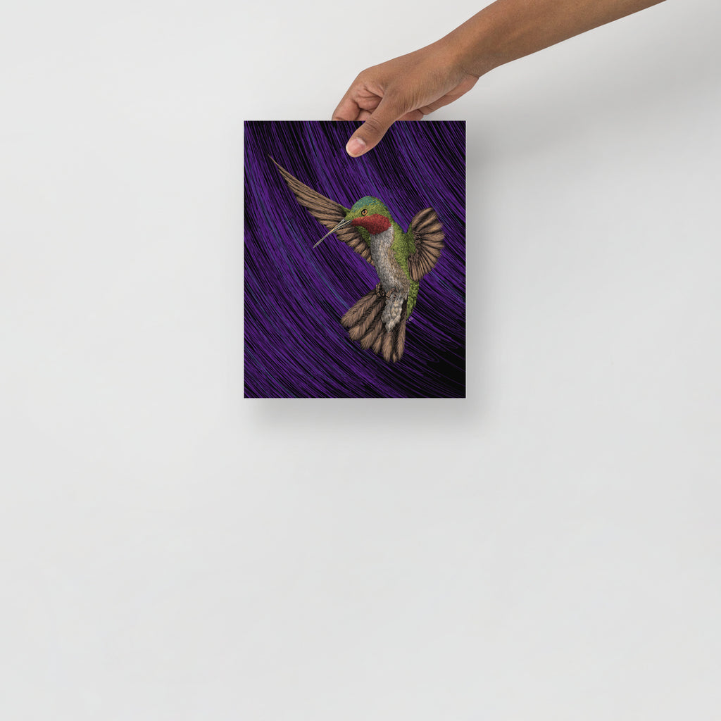Hummingbird Art Print