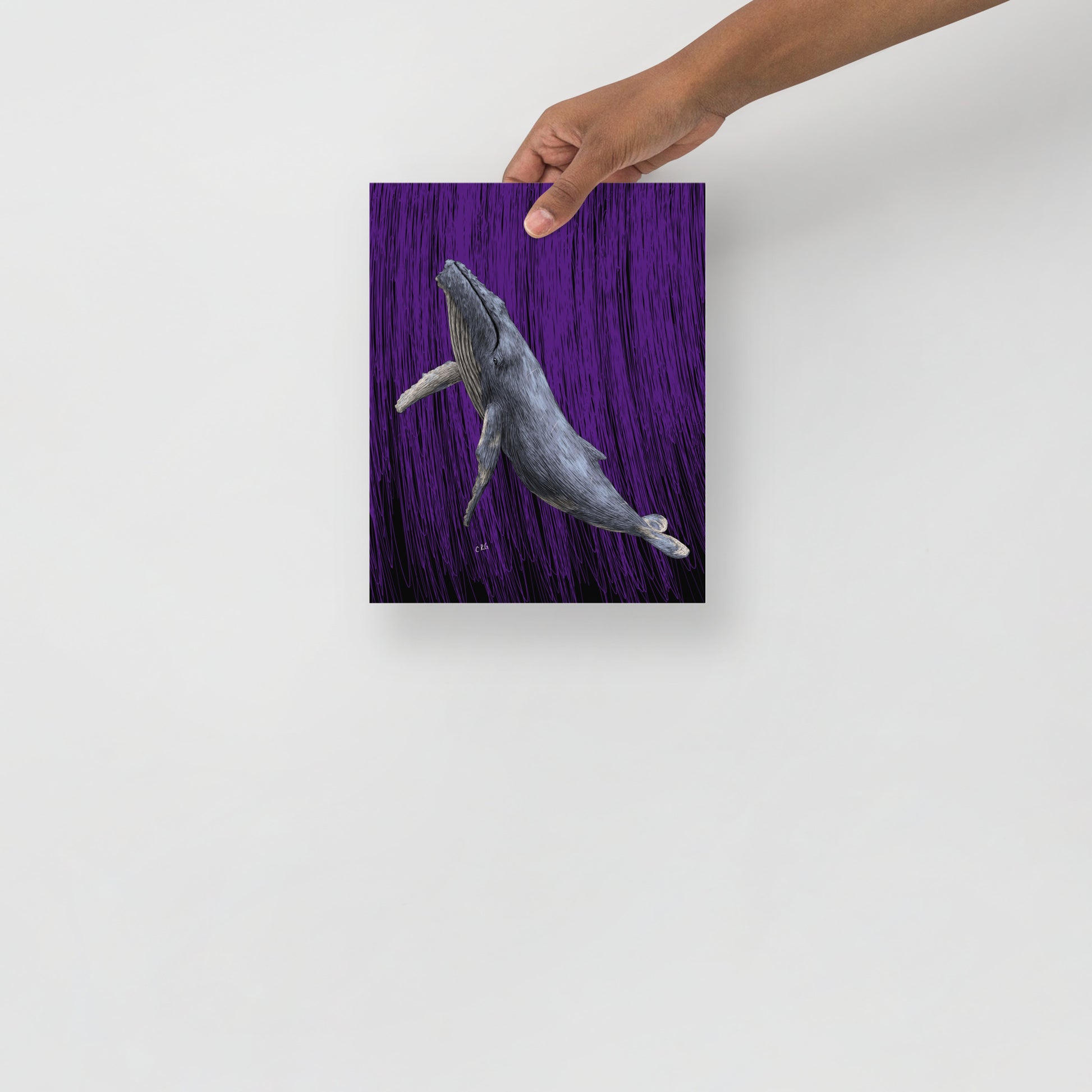 Whale Art Print