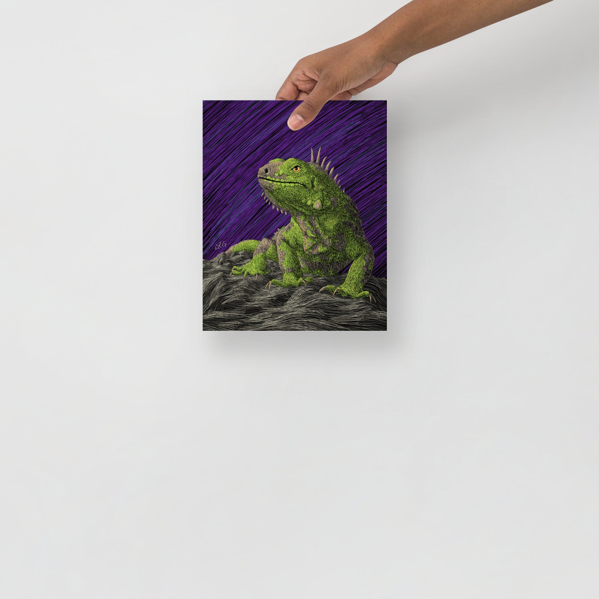 Iguana Art Print