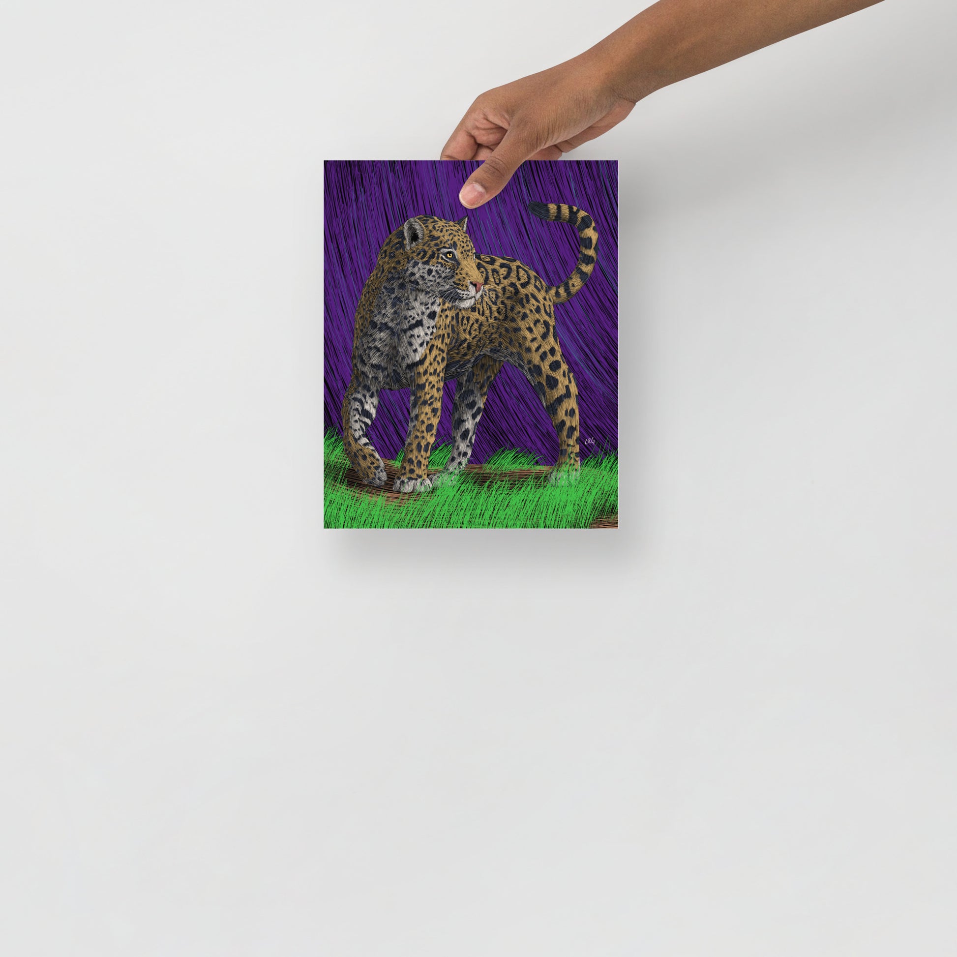 Jaguar Art Print