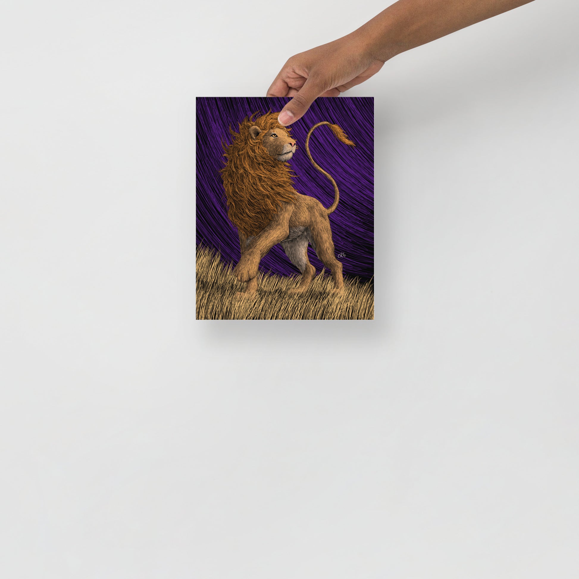 Lion Art Print