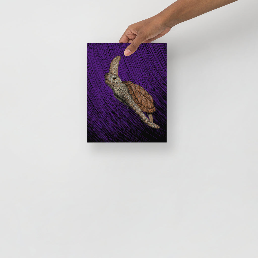 Turtle Art Print