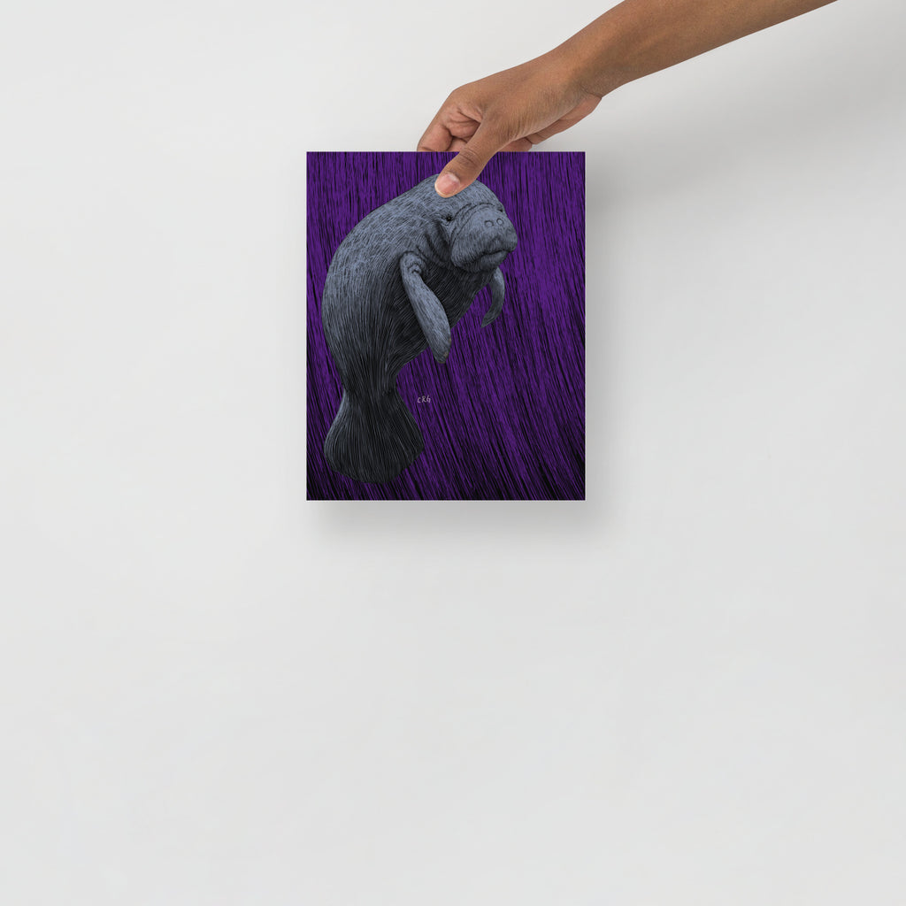 Manatee Art Print