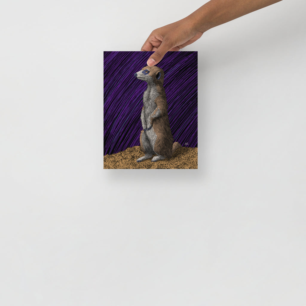 Meerkat Art Print
