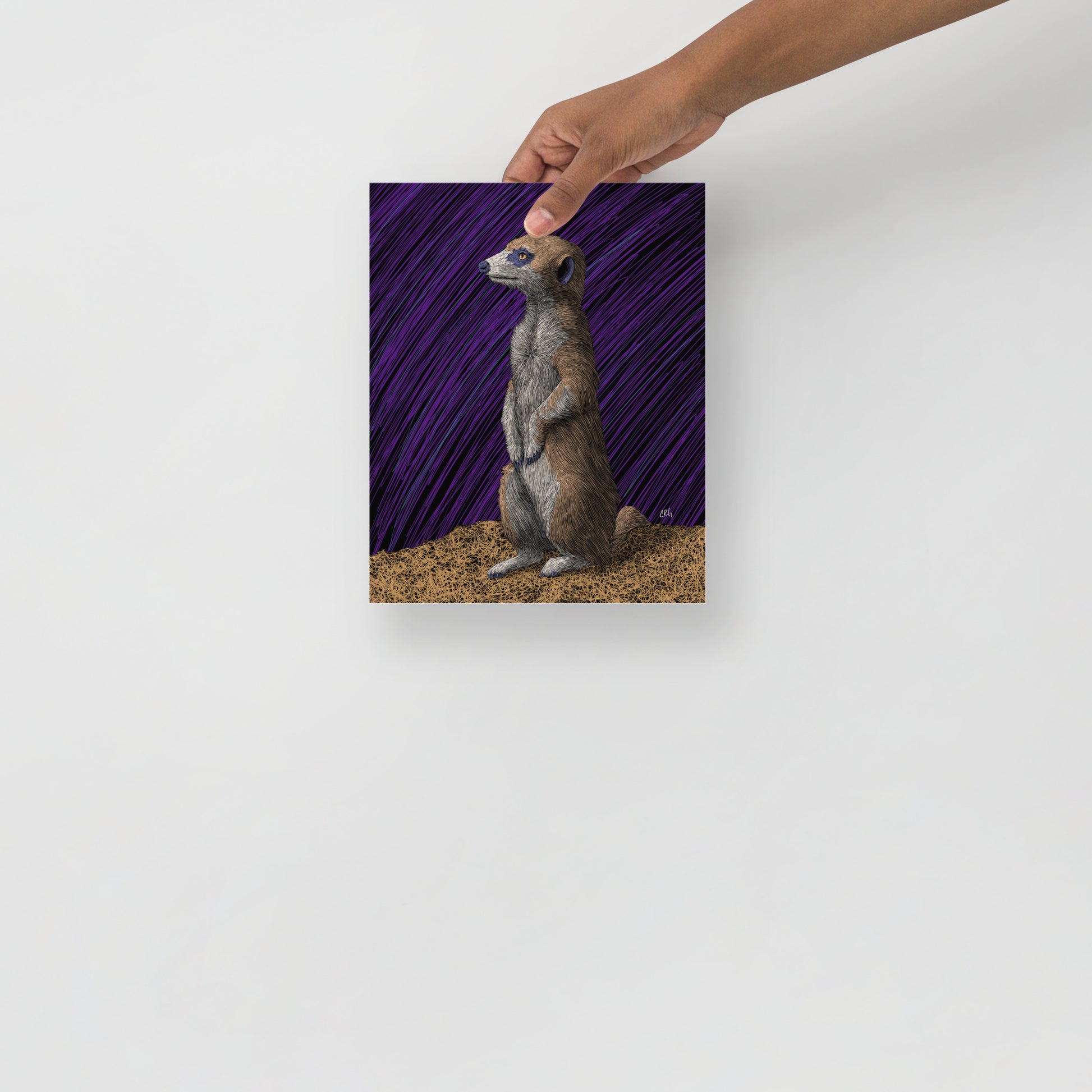 Meerkat Art Print