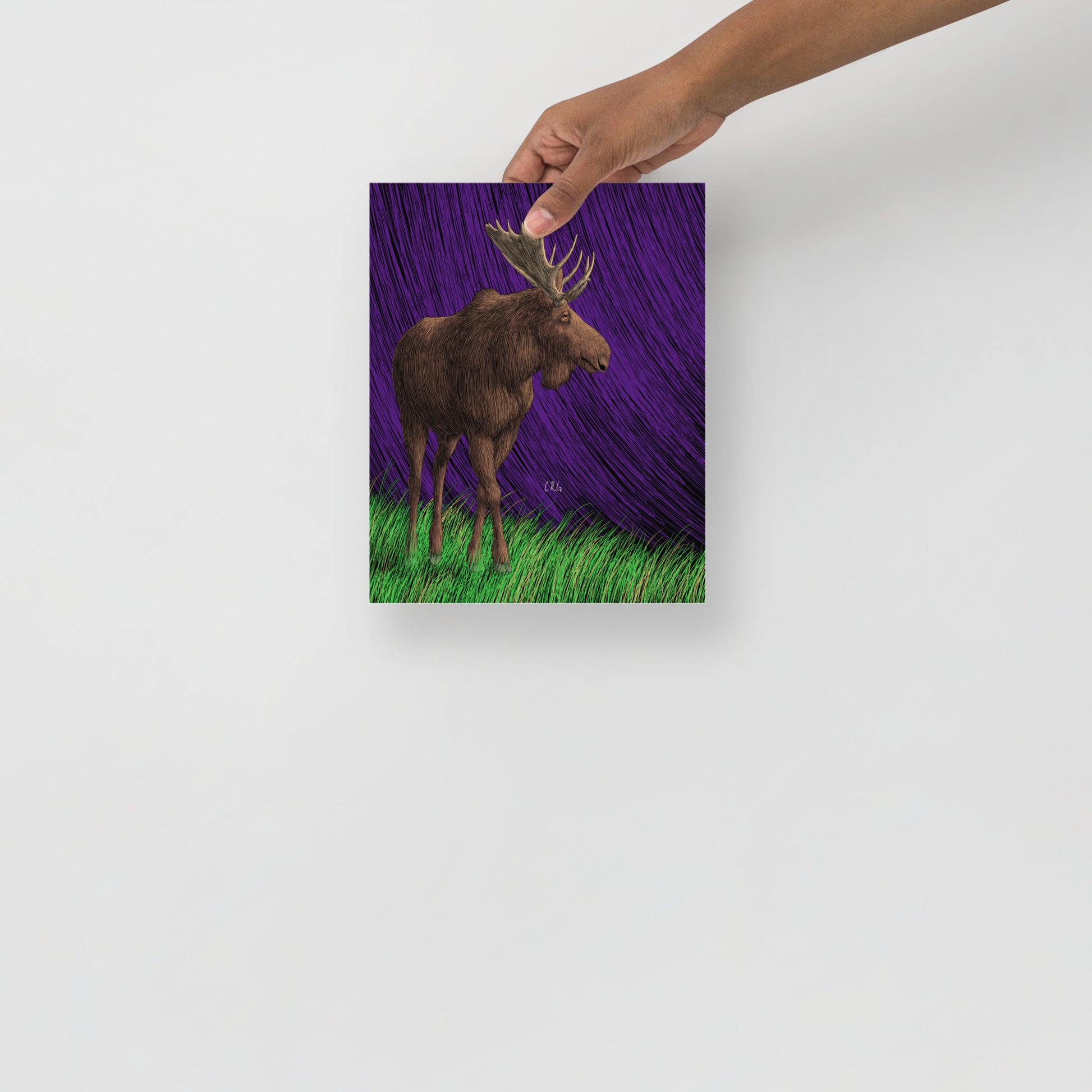 Moose Art Print
