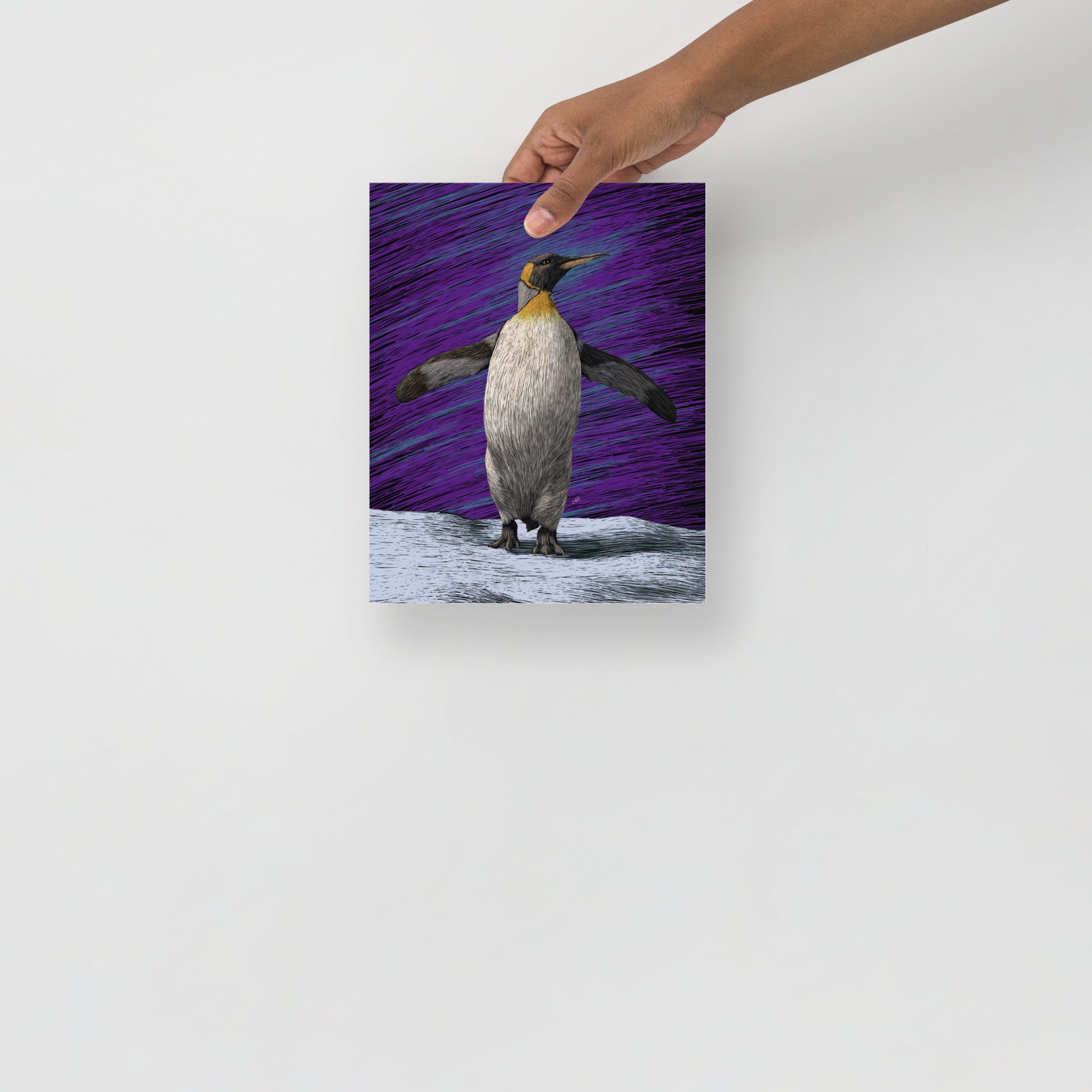 Penguin Art Print
