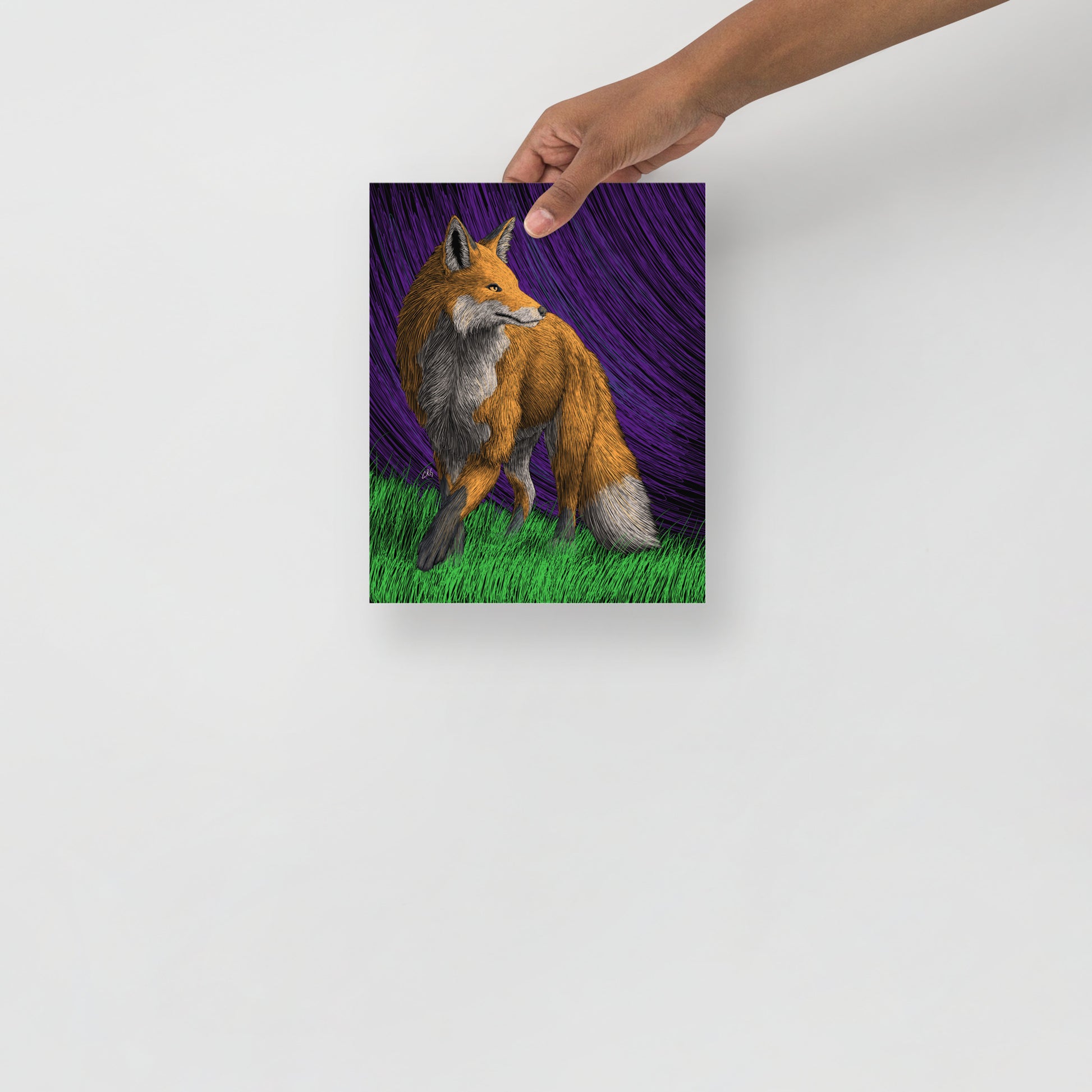 Red Fox Art Print