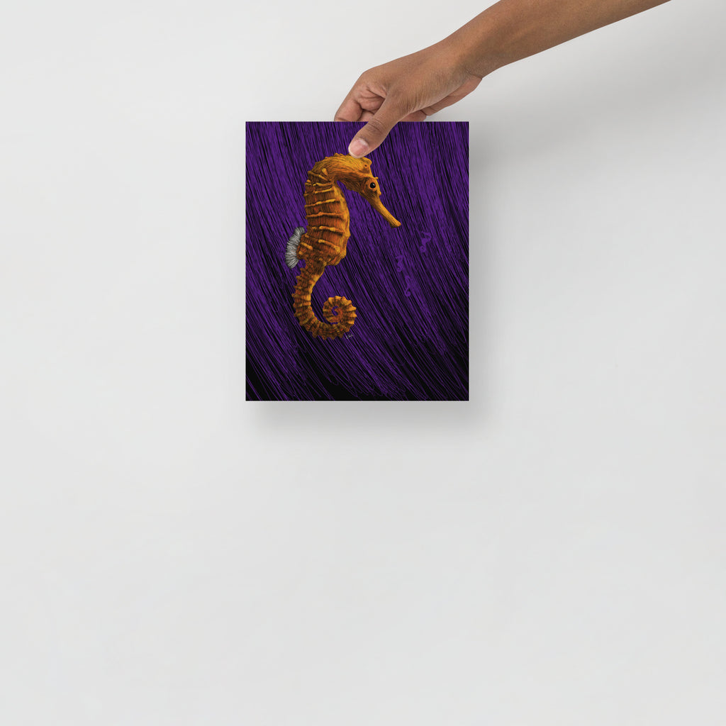 Seahorse Art Print