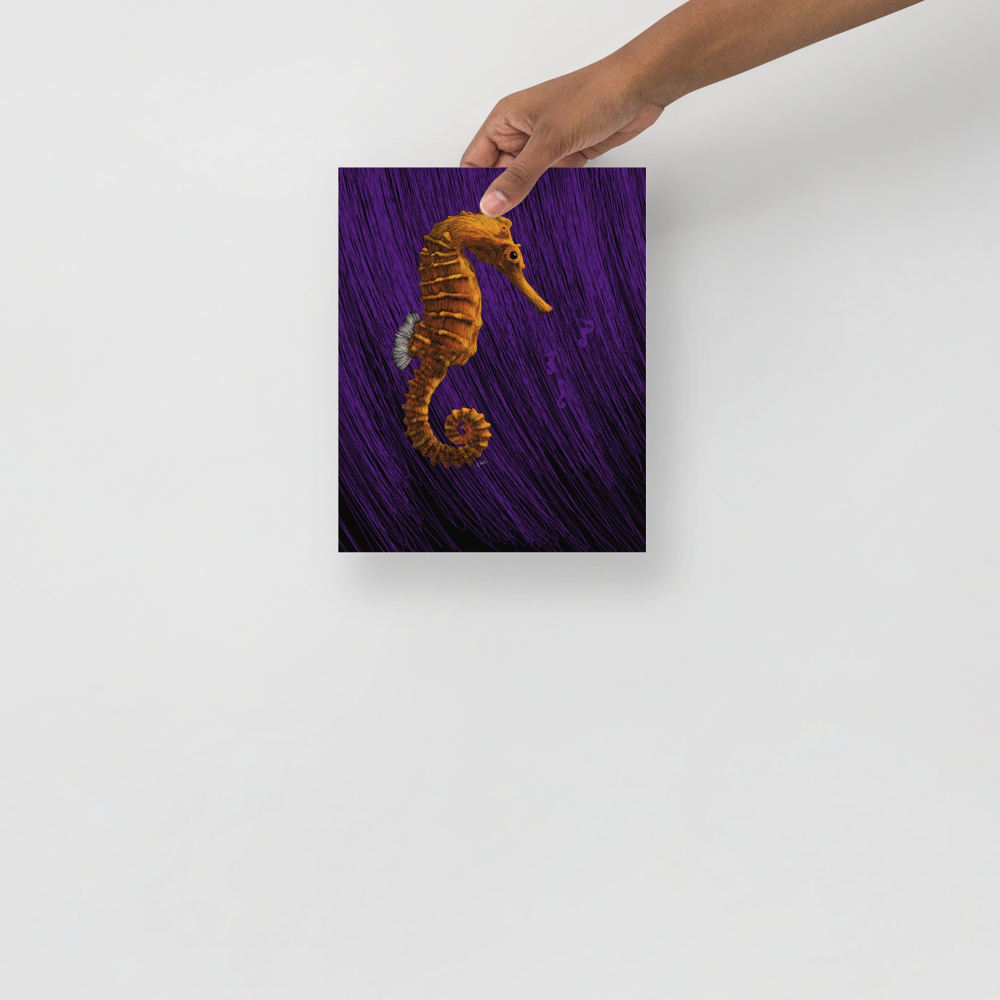 Seahorse Art Print
