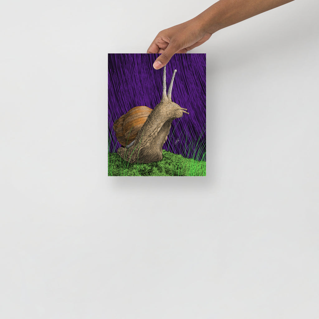 Snail Art Print