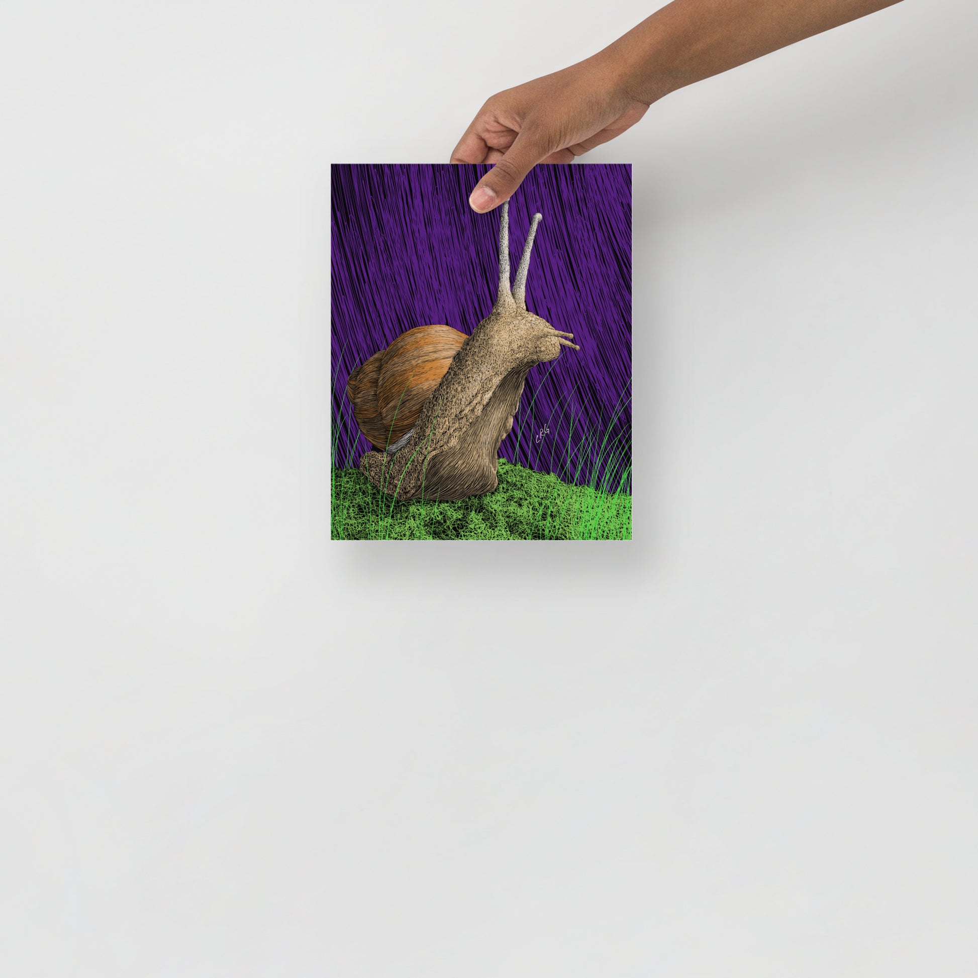 Snail Art Print