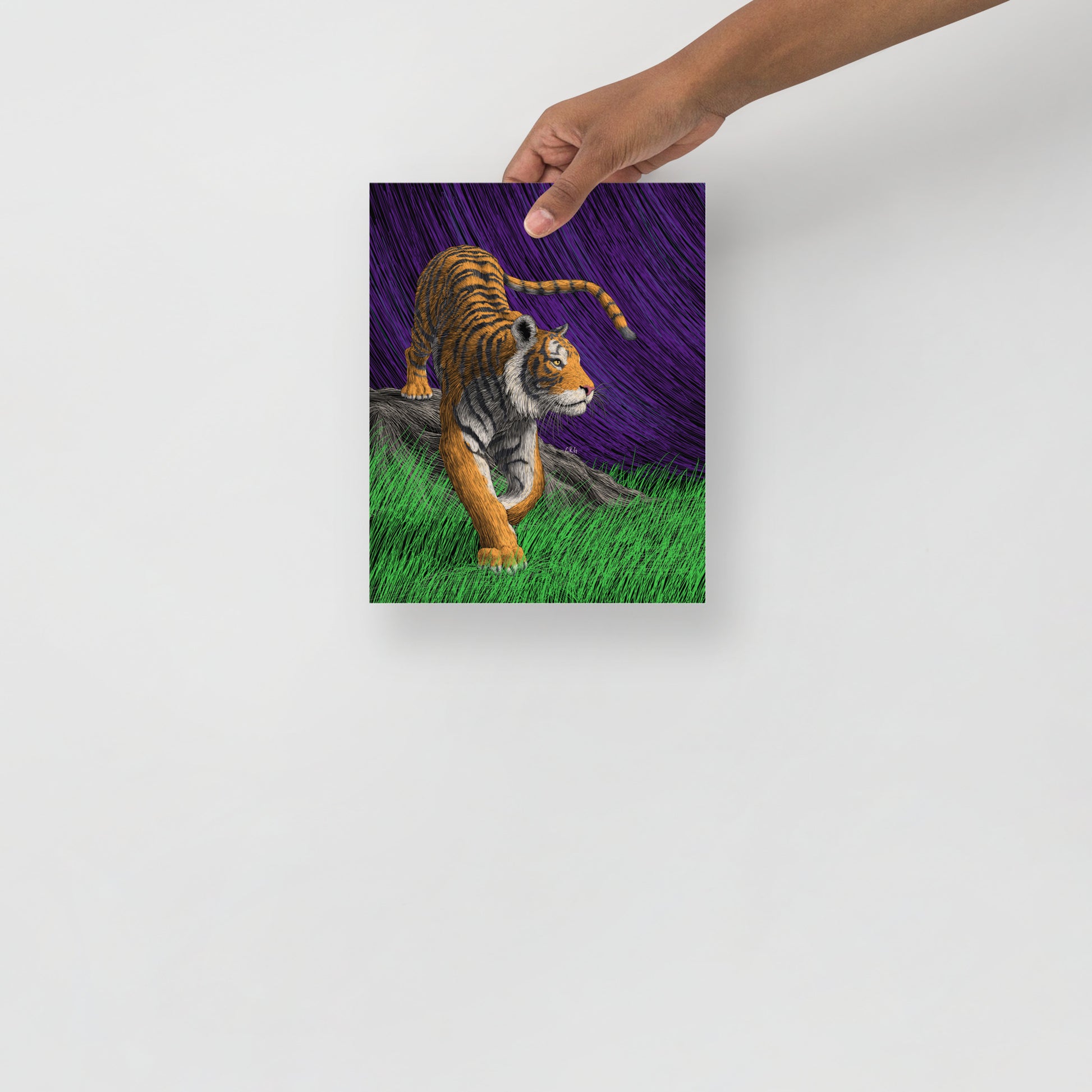 Tiger Art Print