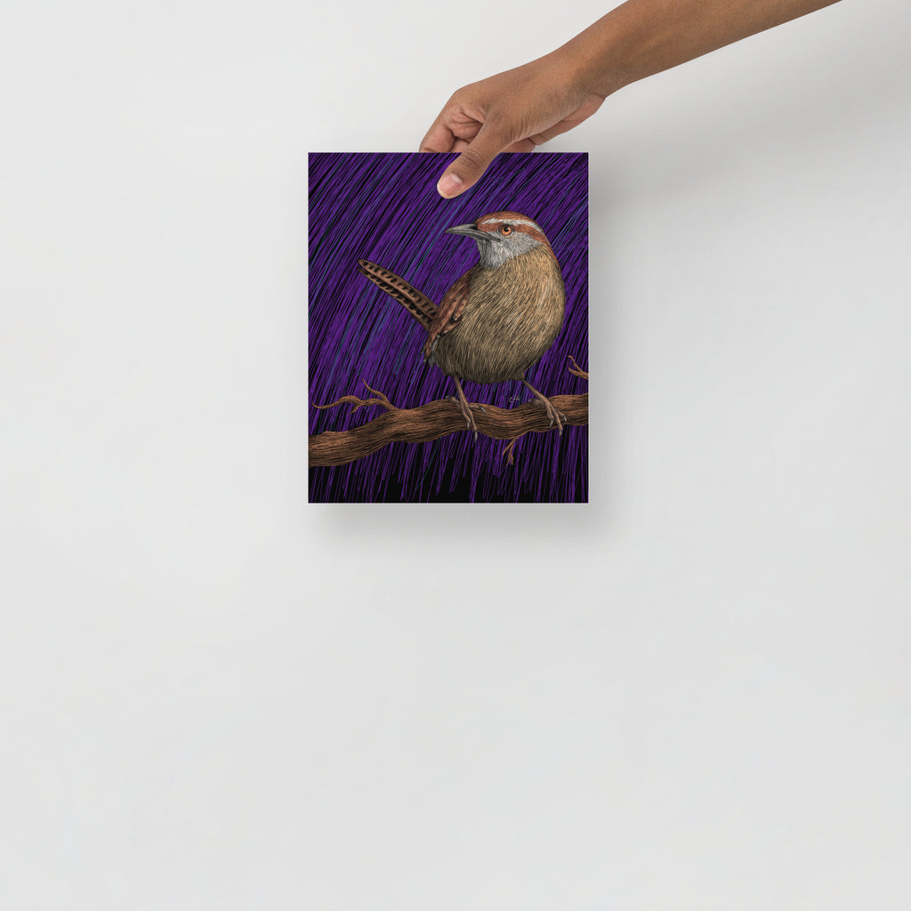 Wren Art Print