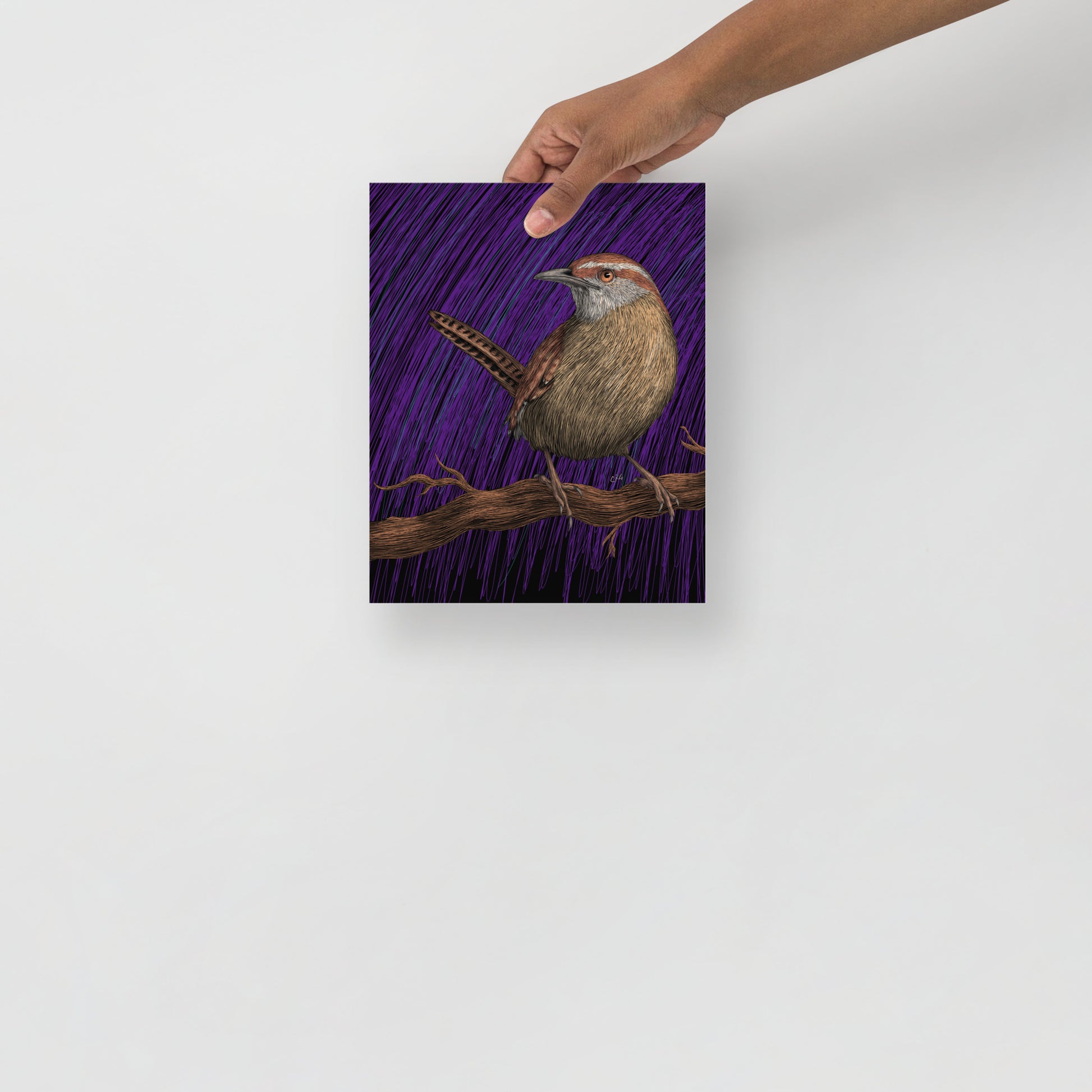 Wren Art Print