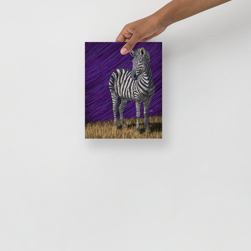 Zebra Art Print