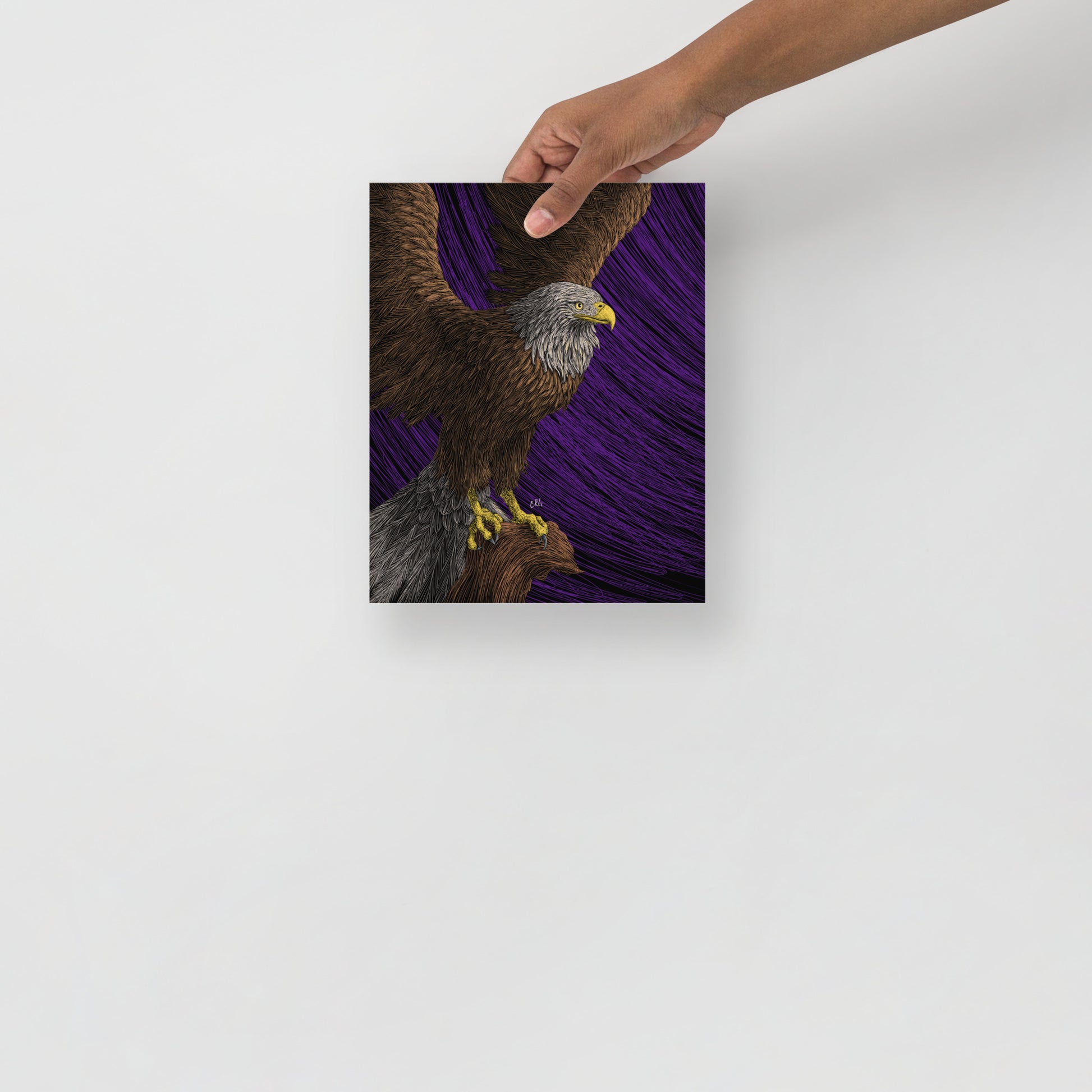 Bald Eagle Art Print