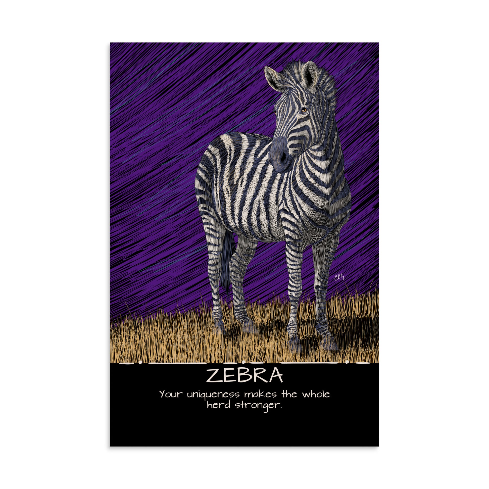 Zebra Art Print