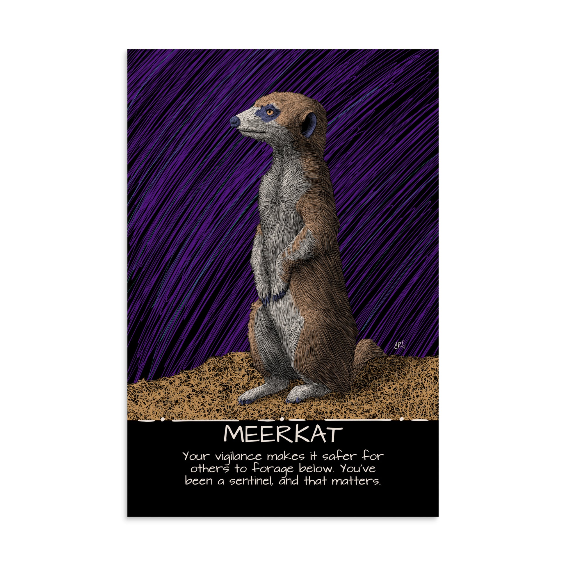 Meerkat Art Print