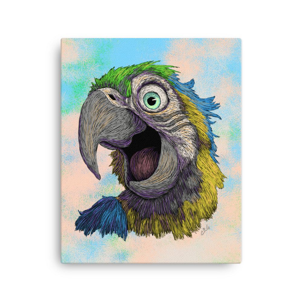 Blue and Gold Macaw, 2024