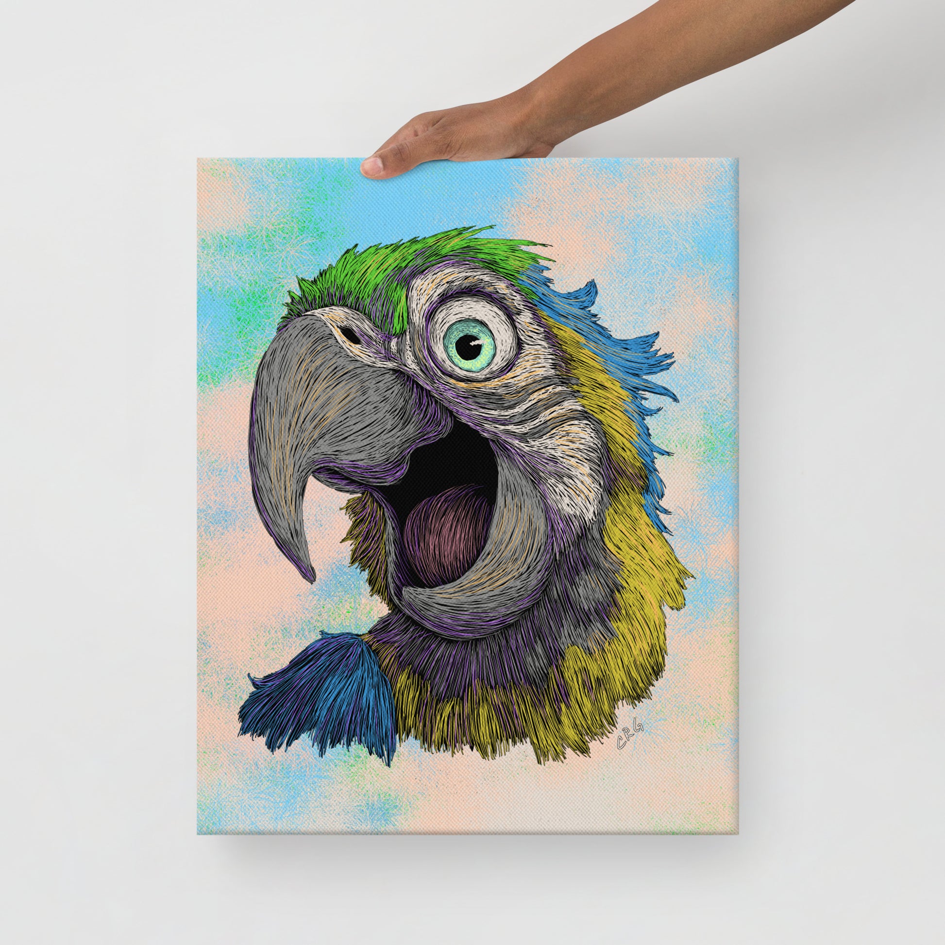 Blue and Gold Macaw, 2024