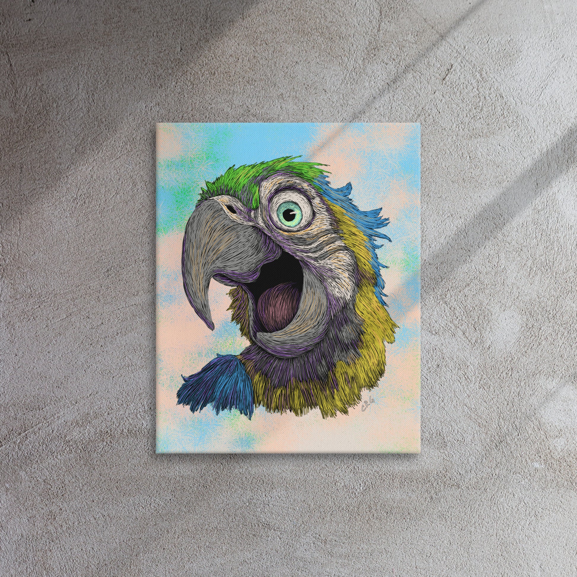 Blue and Gold Macaw, 2024
