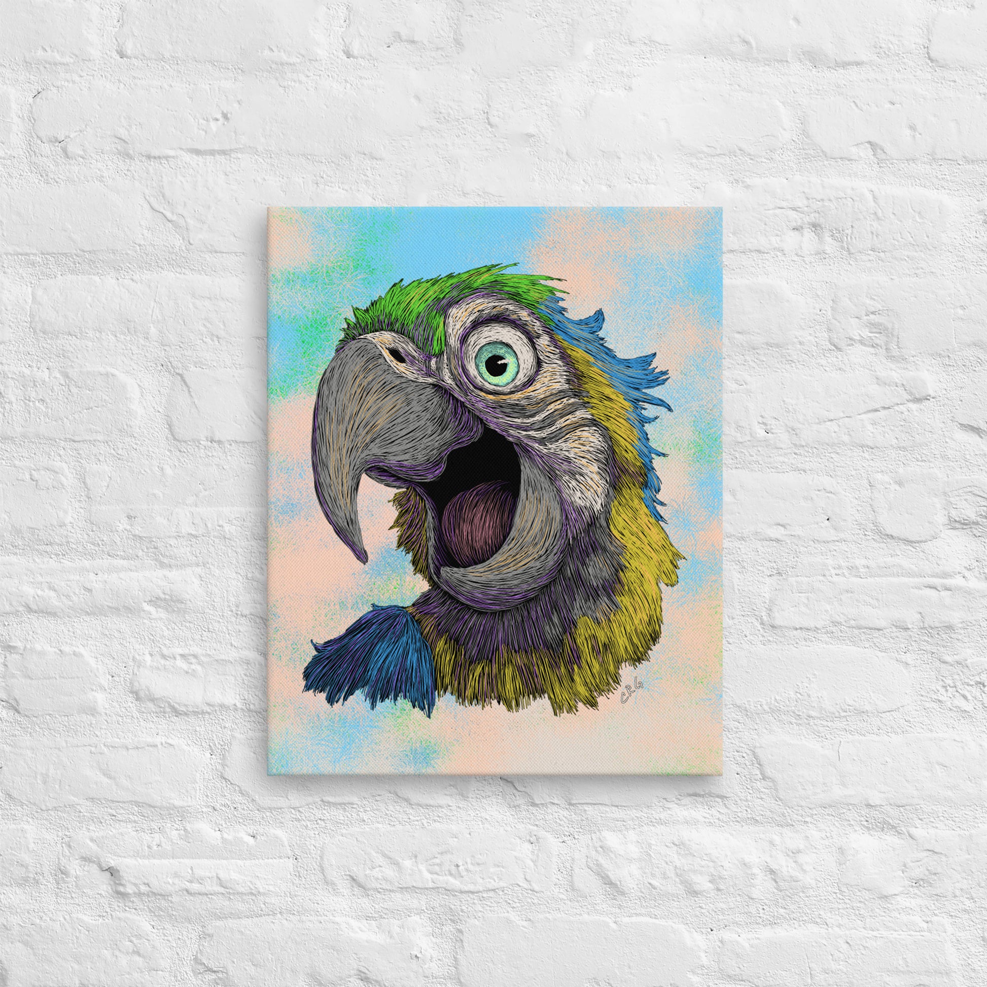 Blue and Gold Macaw, 2024