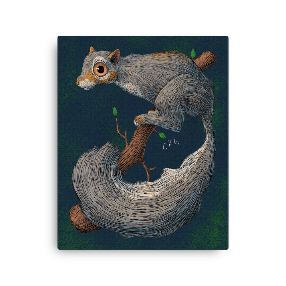 Anxious Squirrel, 2025