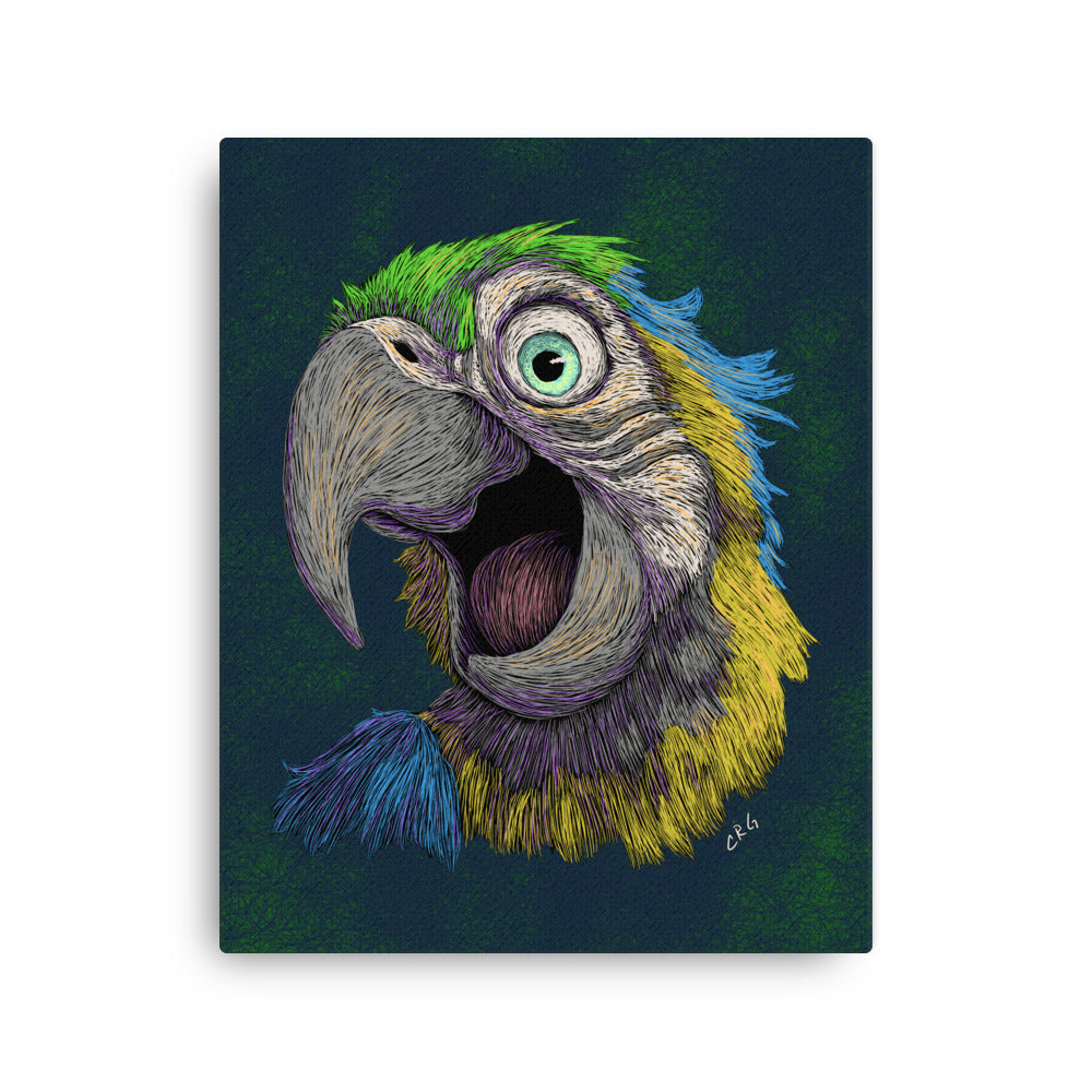 Blue and Gold Macaw, 2024