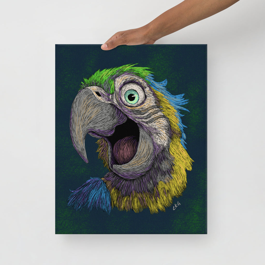 Blue and Gold Macaw, 2024