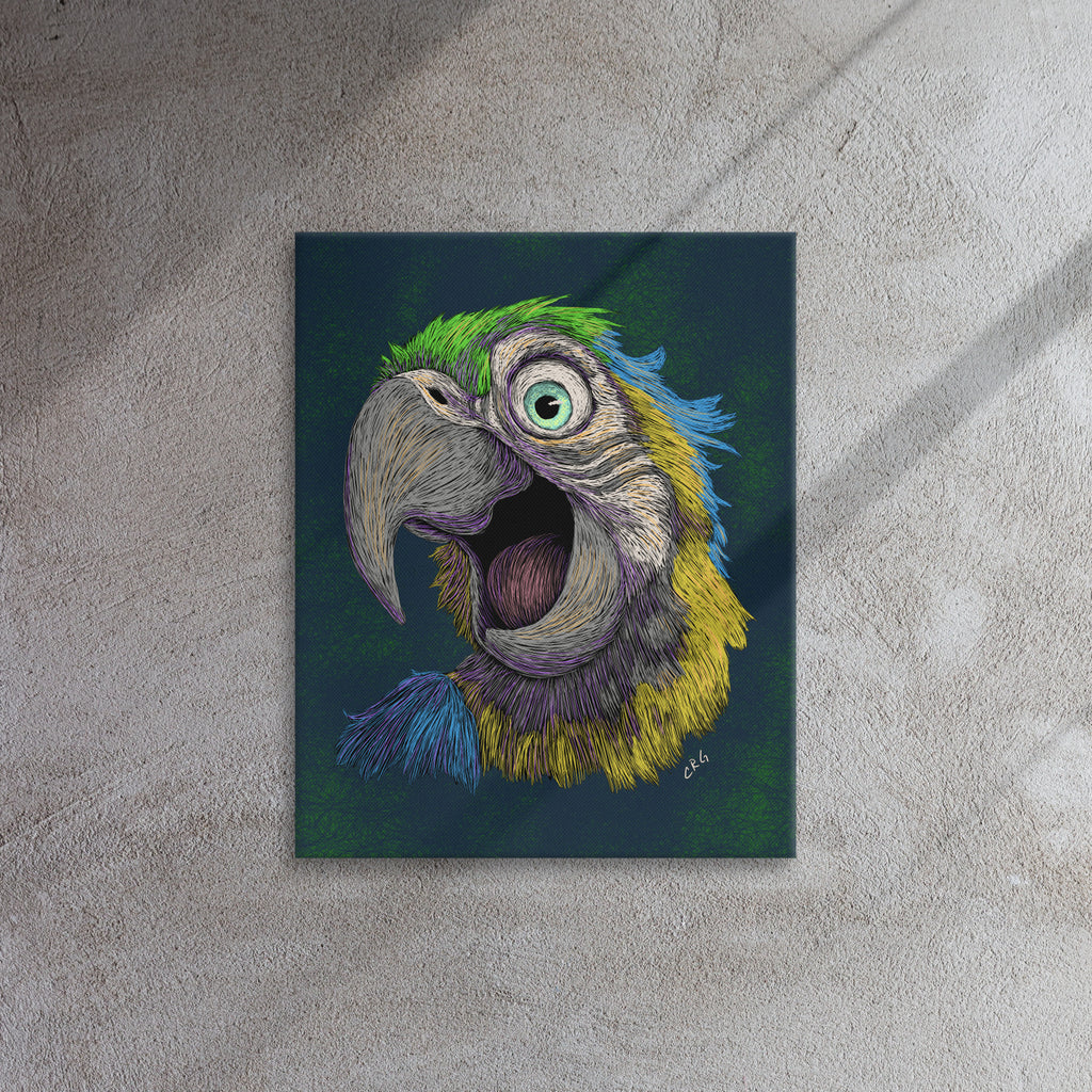 Blue and Gold Macaw, 2024