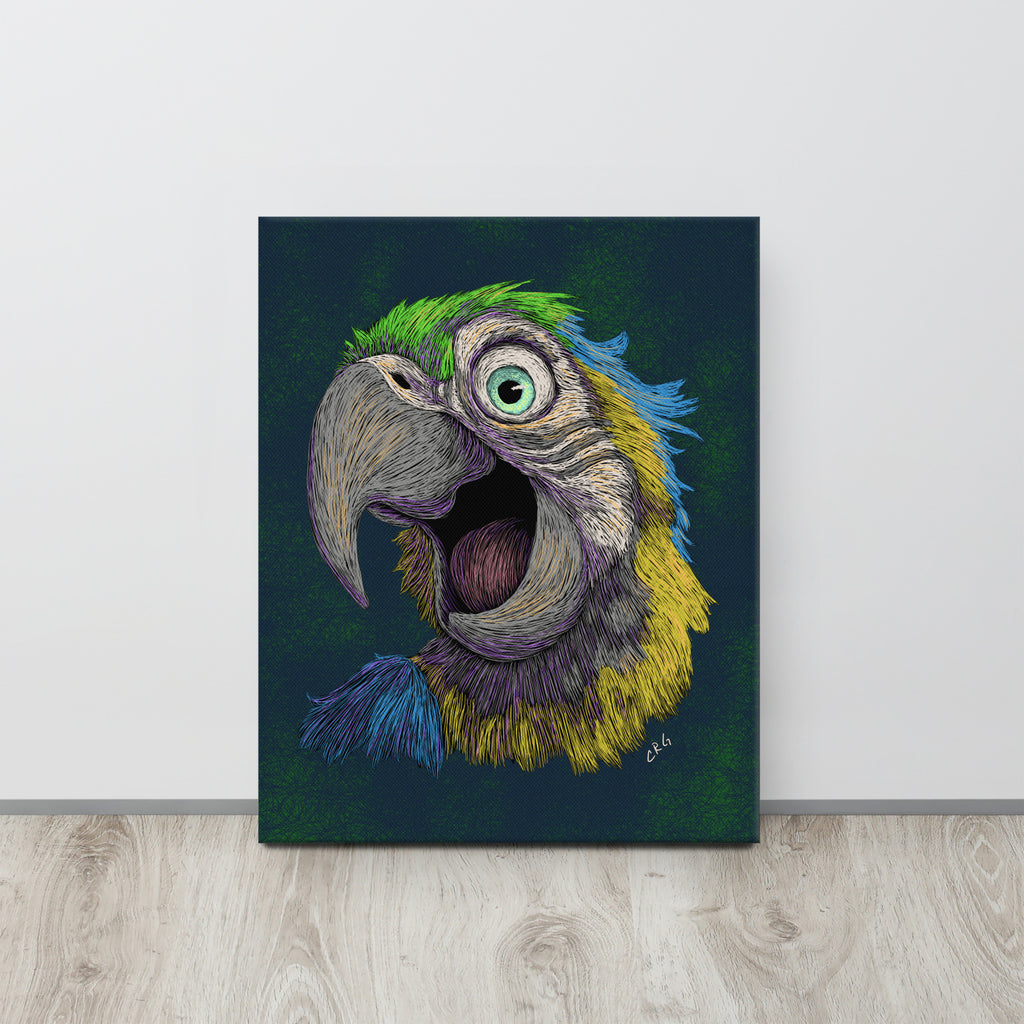 Blue and Gold Macaw, 2024