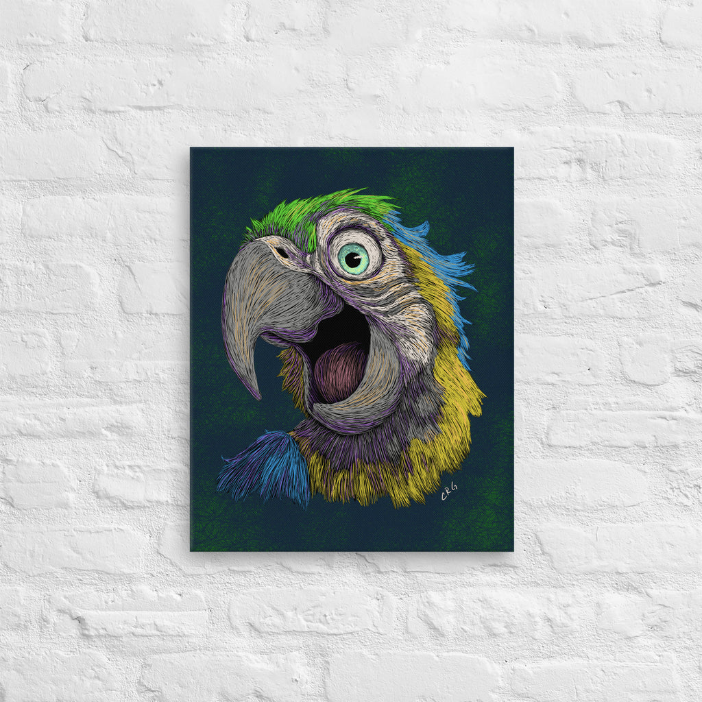 Blue and Gold Macaw, 2024