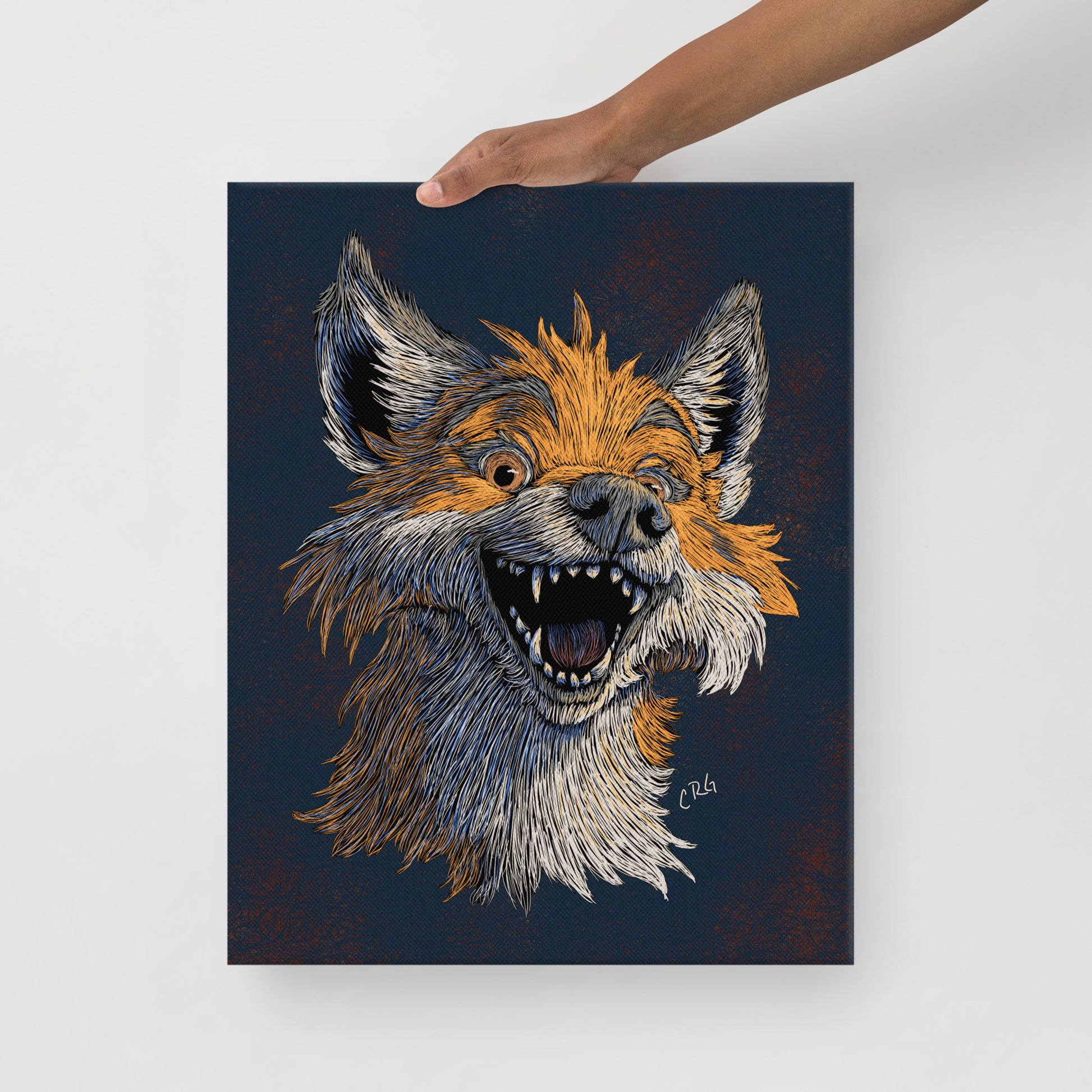 Happy Red Fox, 2024