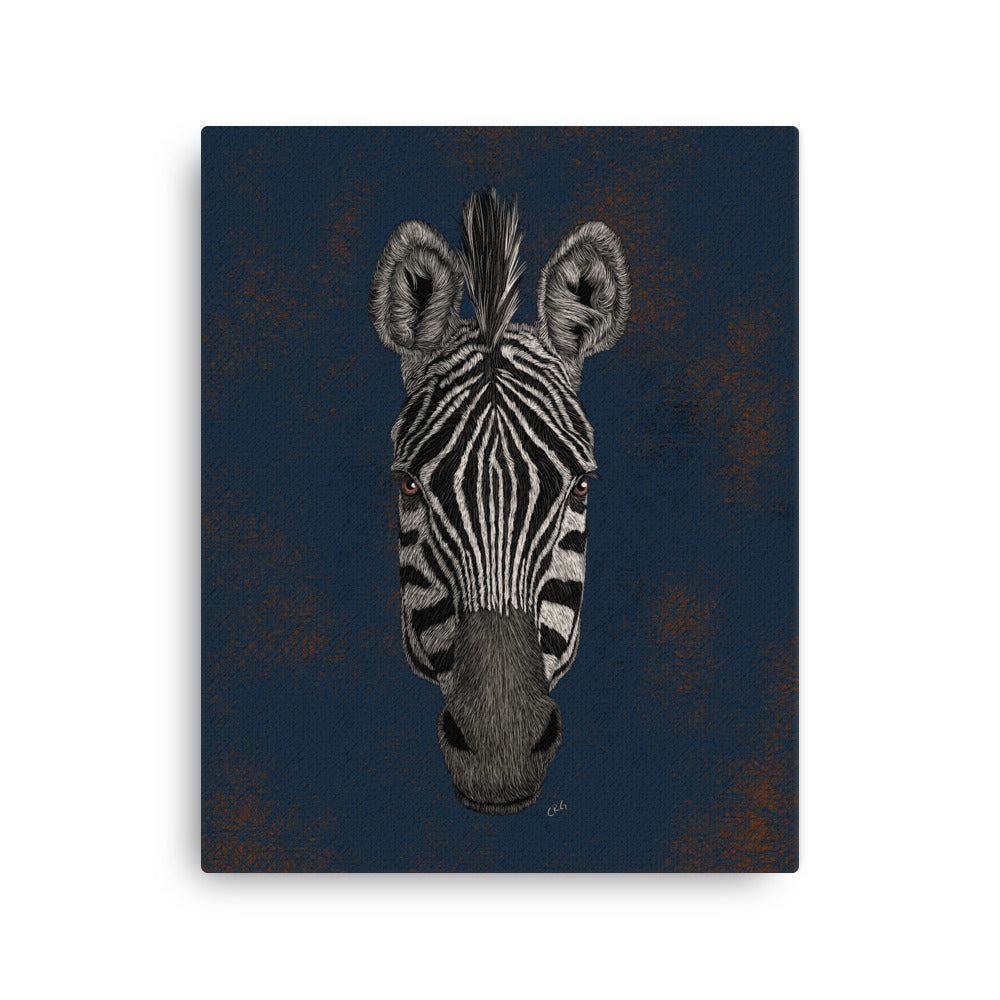 Zebra, 2020