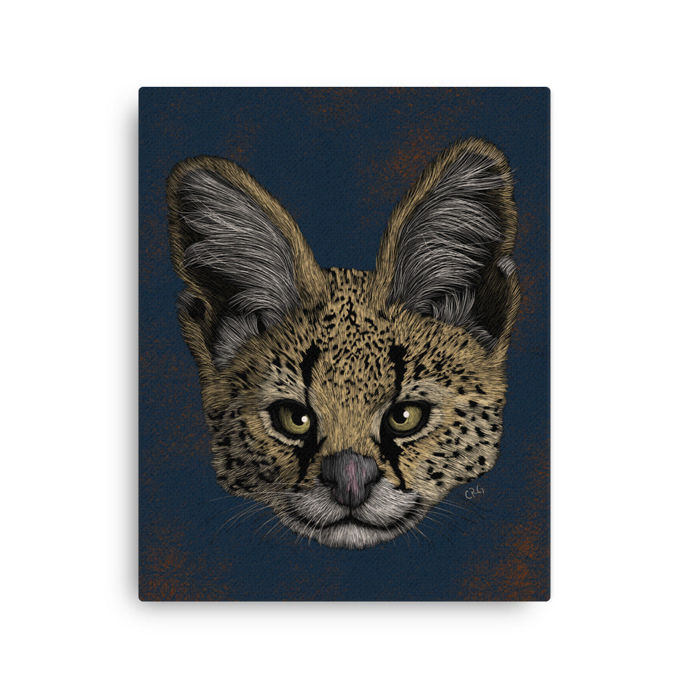 Serval, 2020