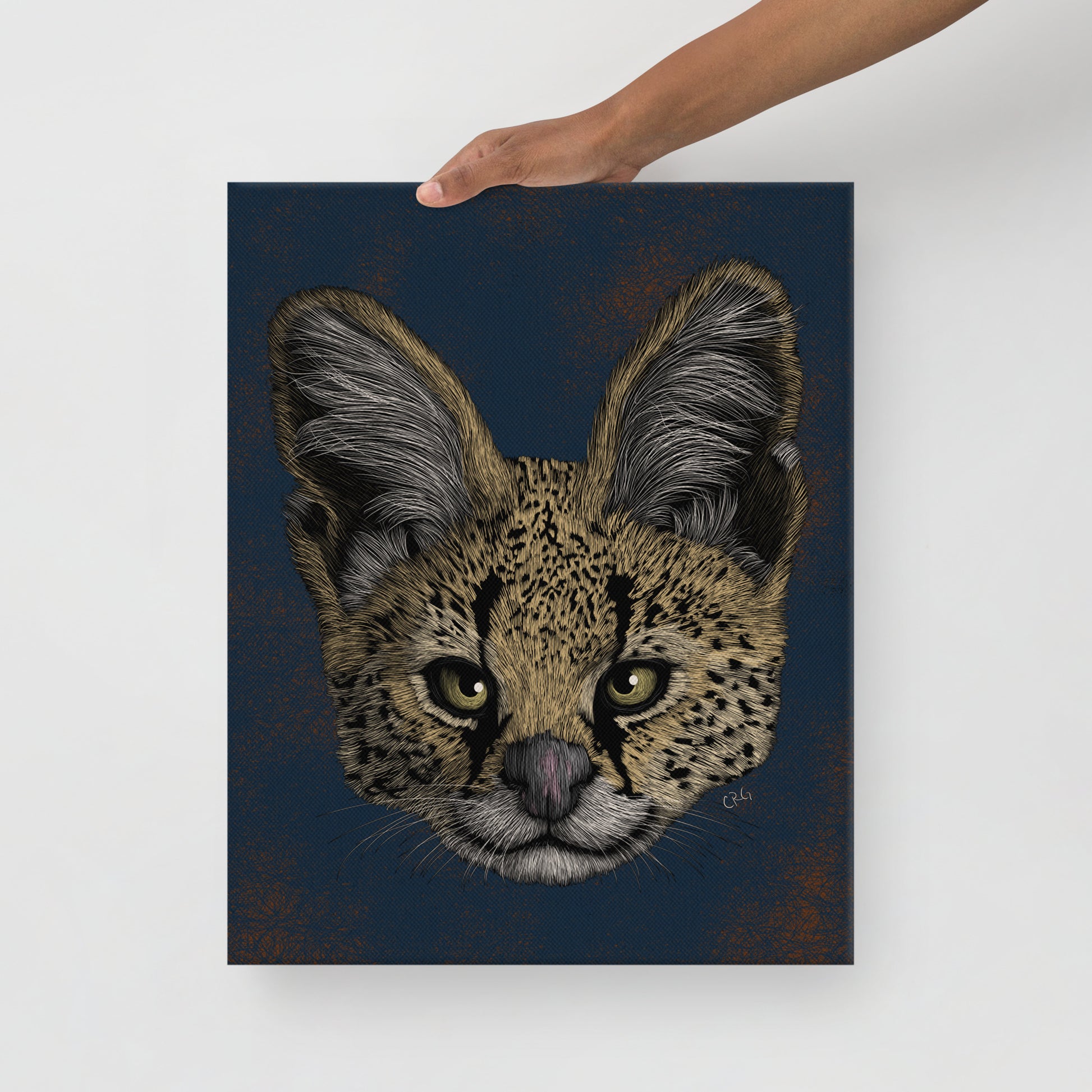 Serval, 2020