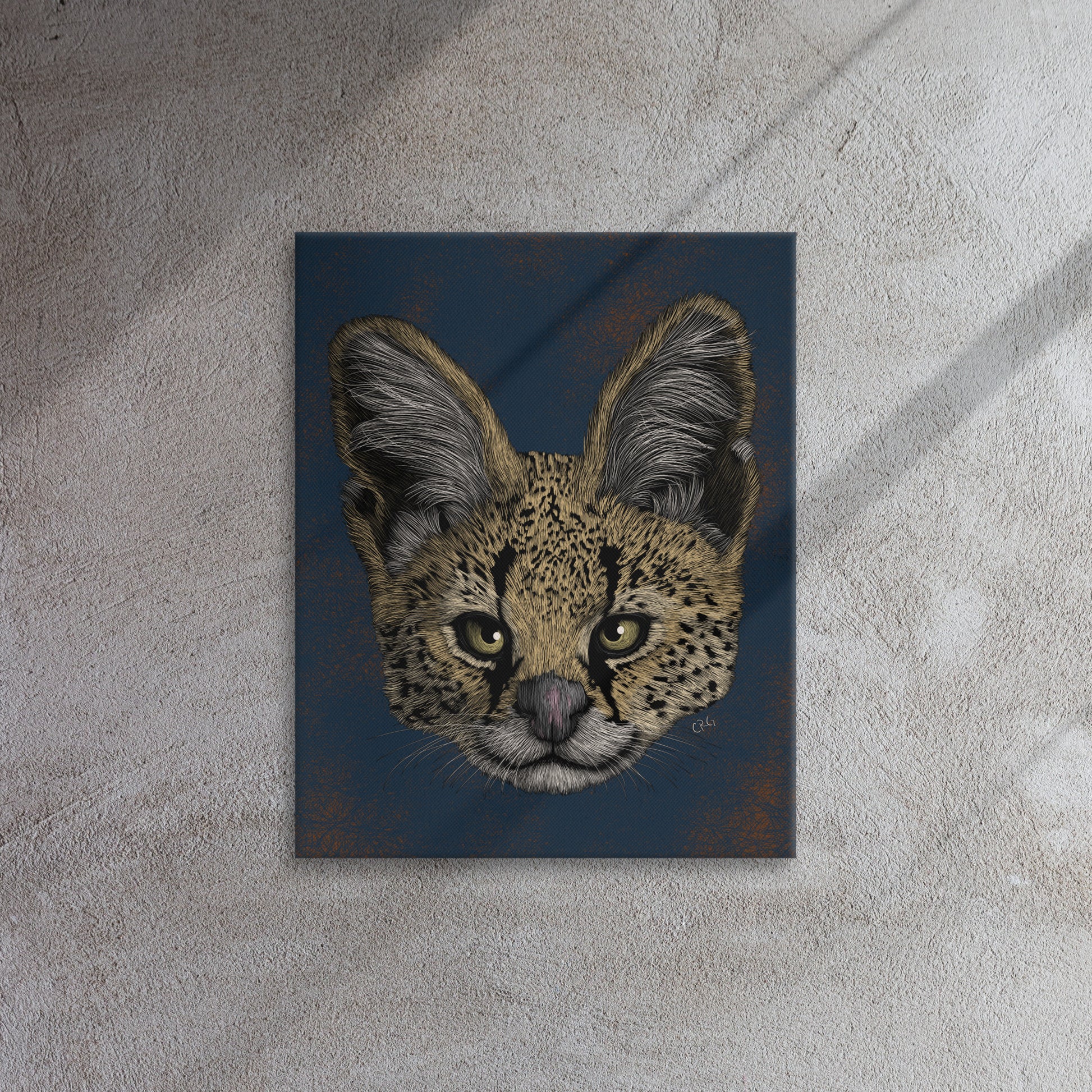 Serval, 2020