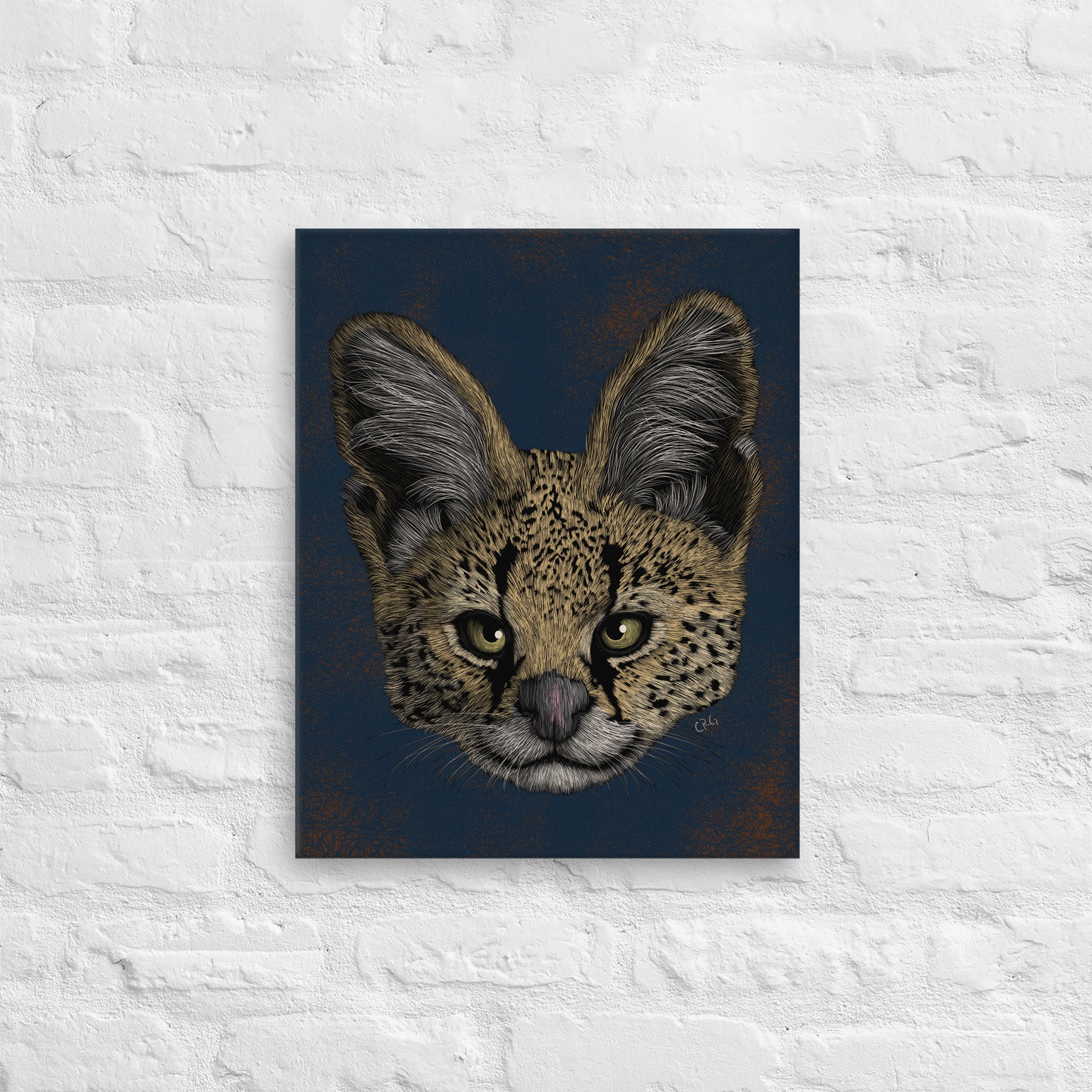 Serval, 2020