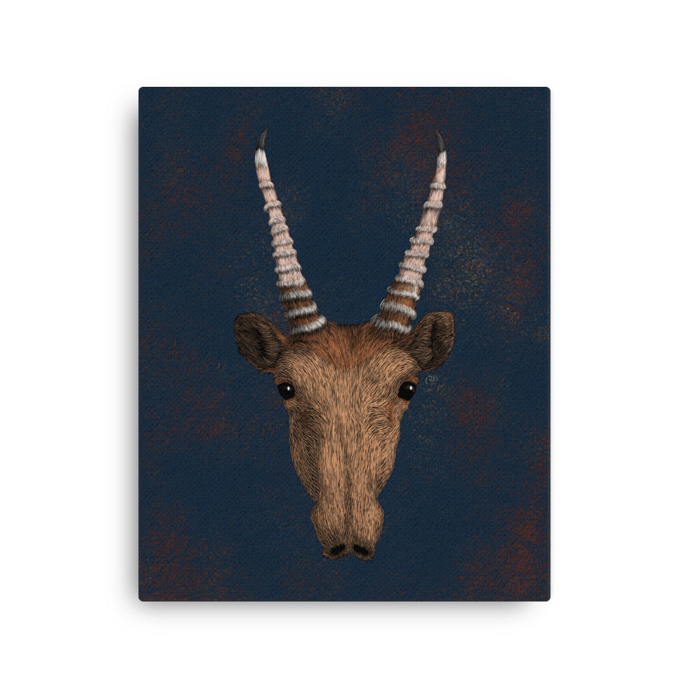 Saiga Antelope, 2020
